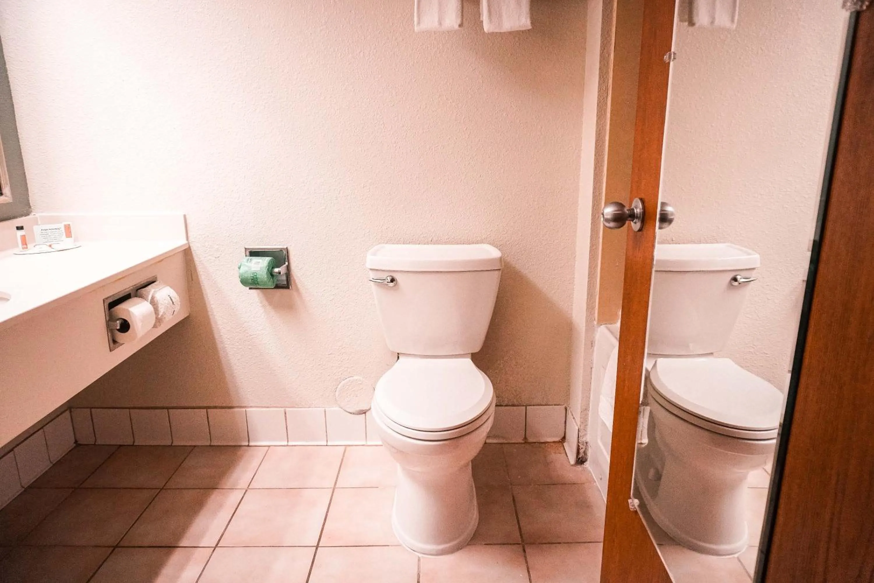 Bathroom in American Inn & suites