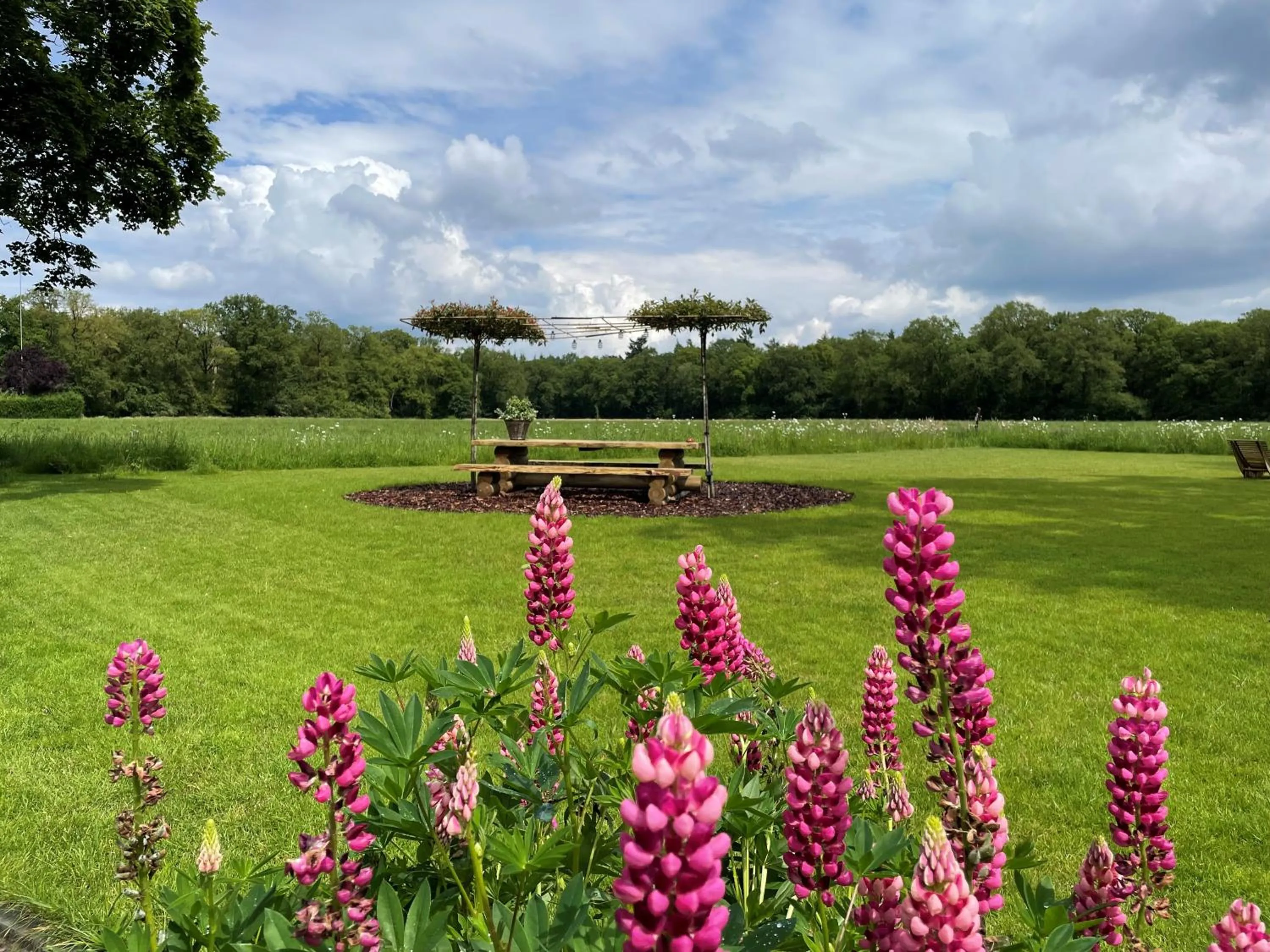 Garden in Domestico Bed & Breakfast