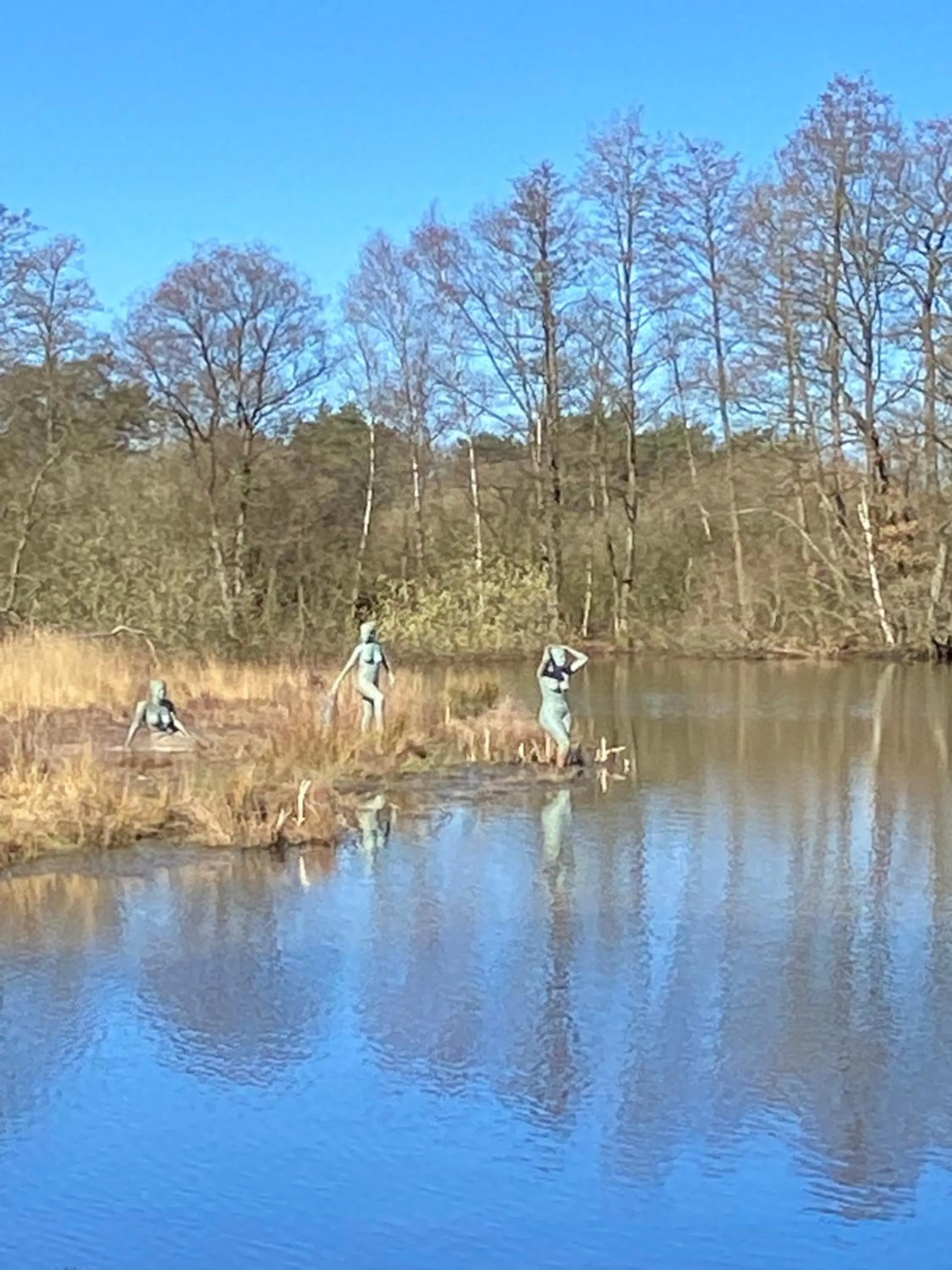 Day in Domestico Bed & Breakfast