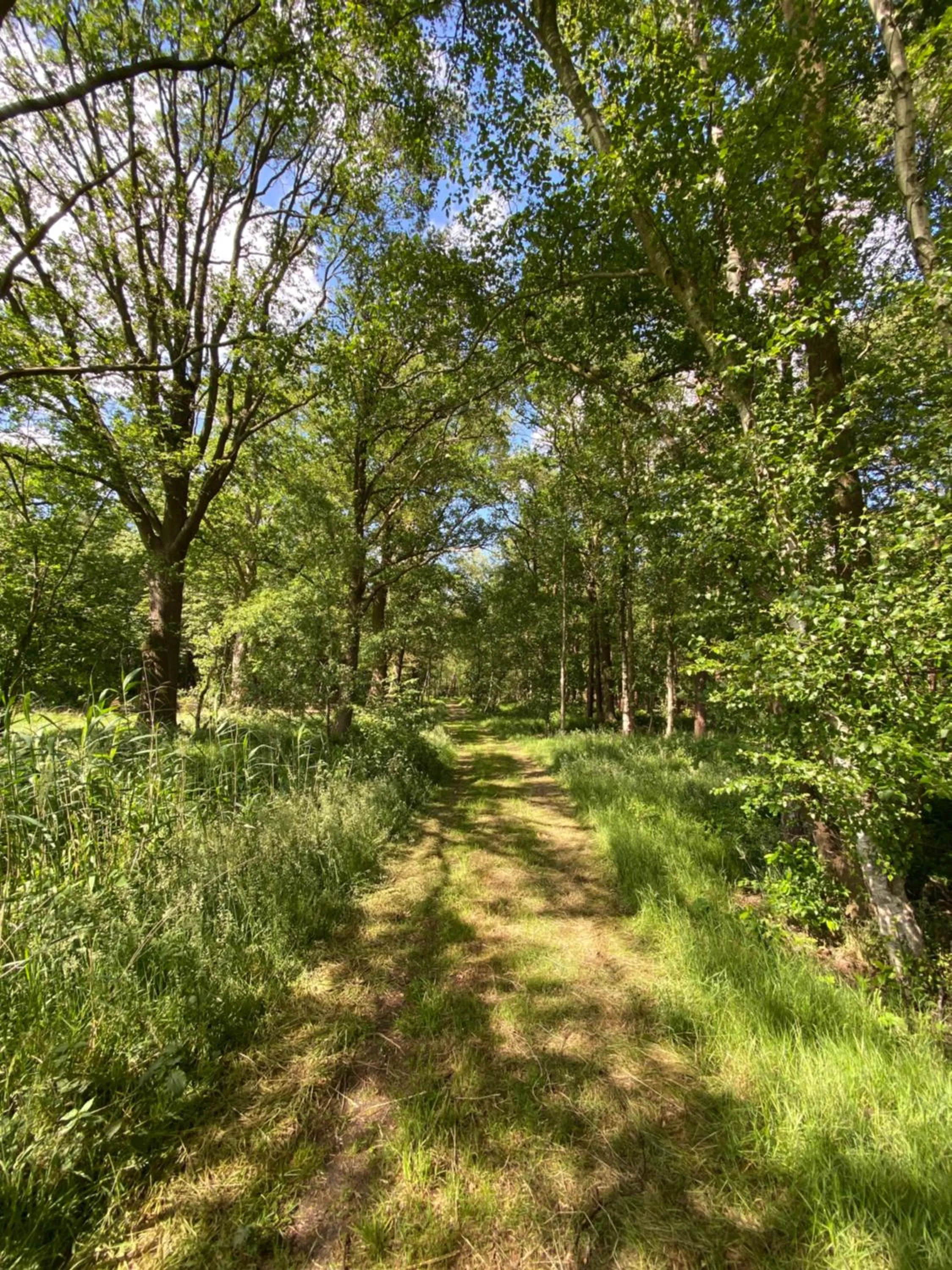 Day in Domestico Bed & Breakfast