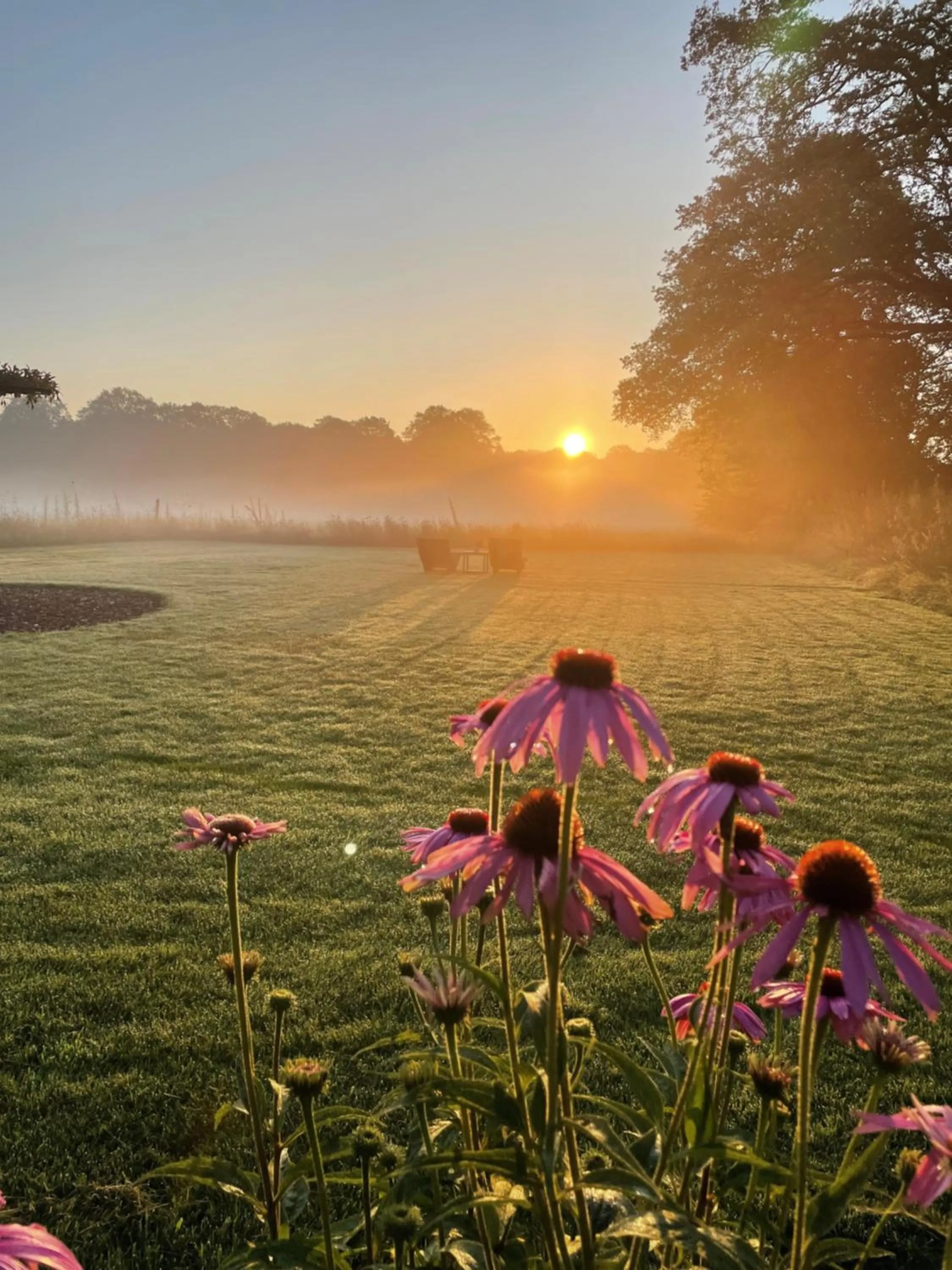 Garden in Domestico Bed & Breakfast
