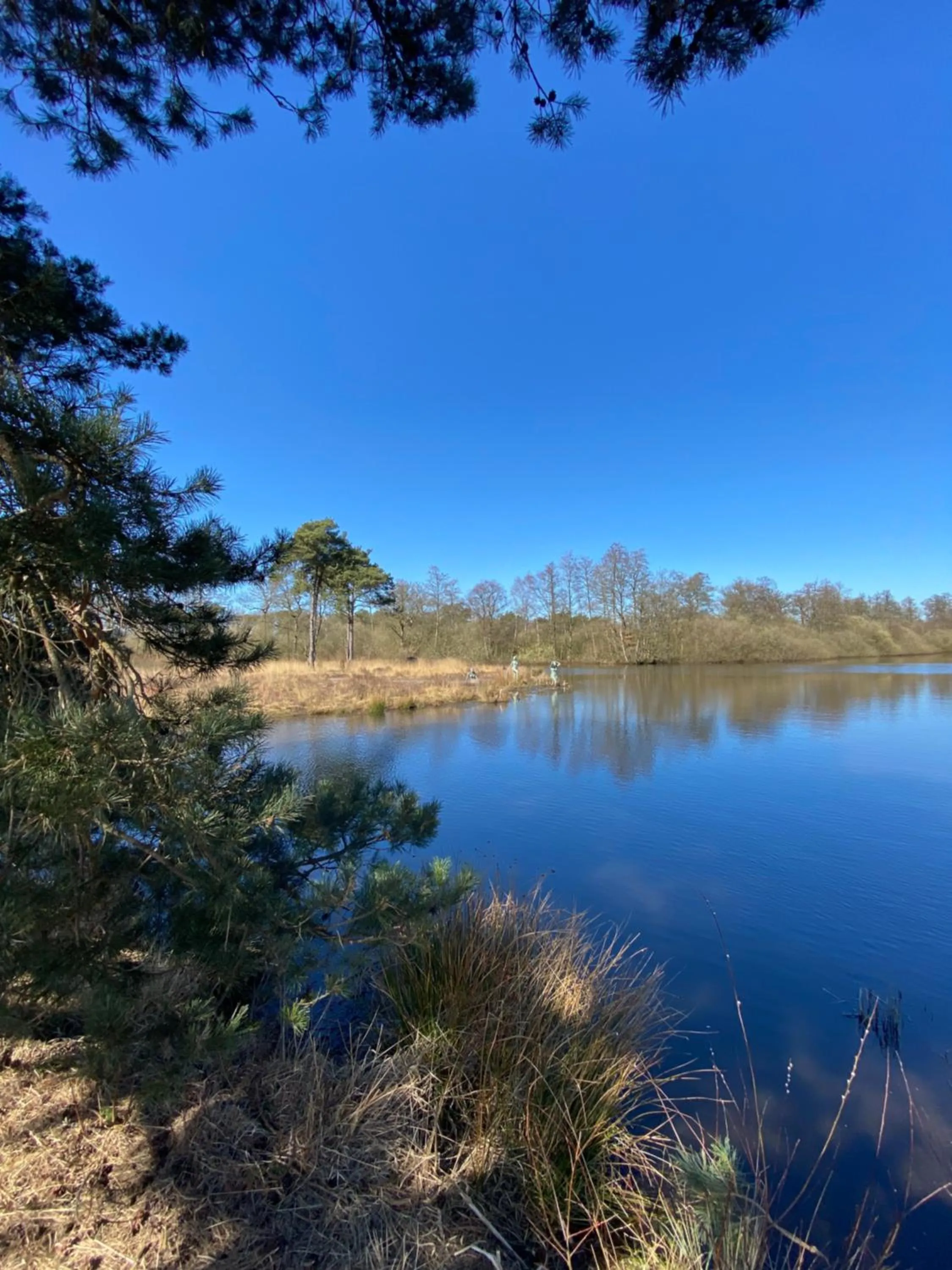 Day in Domestico Bed & Breakfast