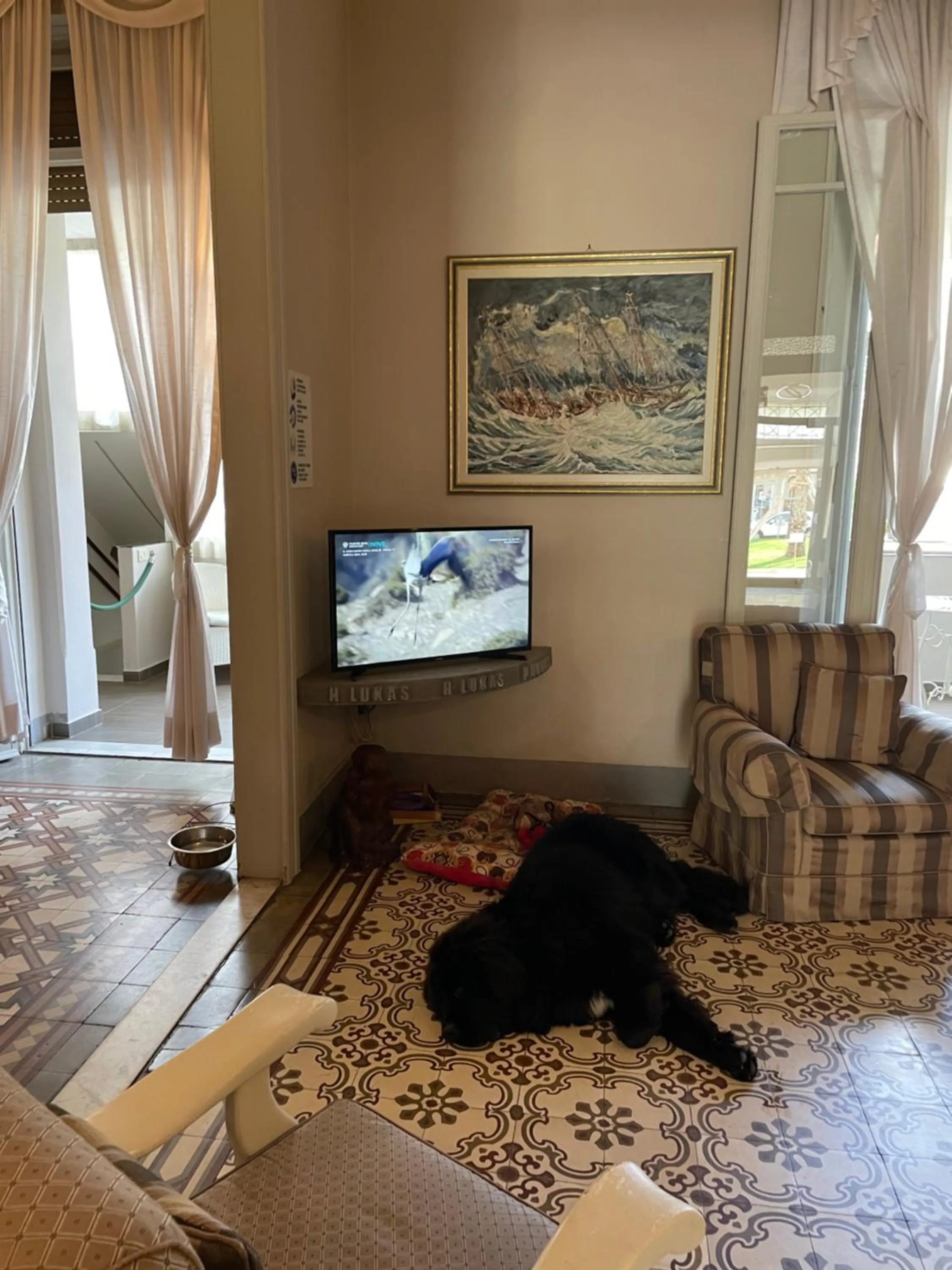 Pets in Hotel Lukas Vegetarian & Vegan