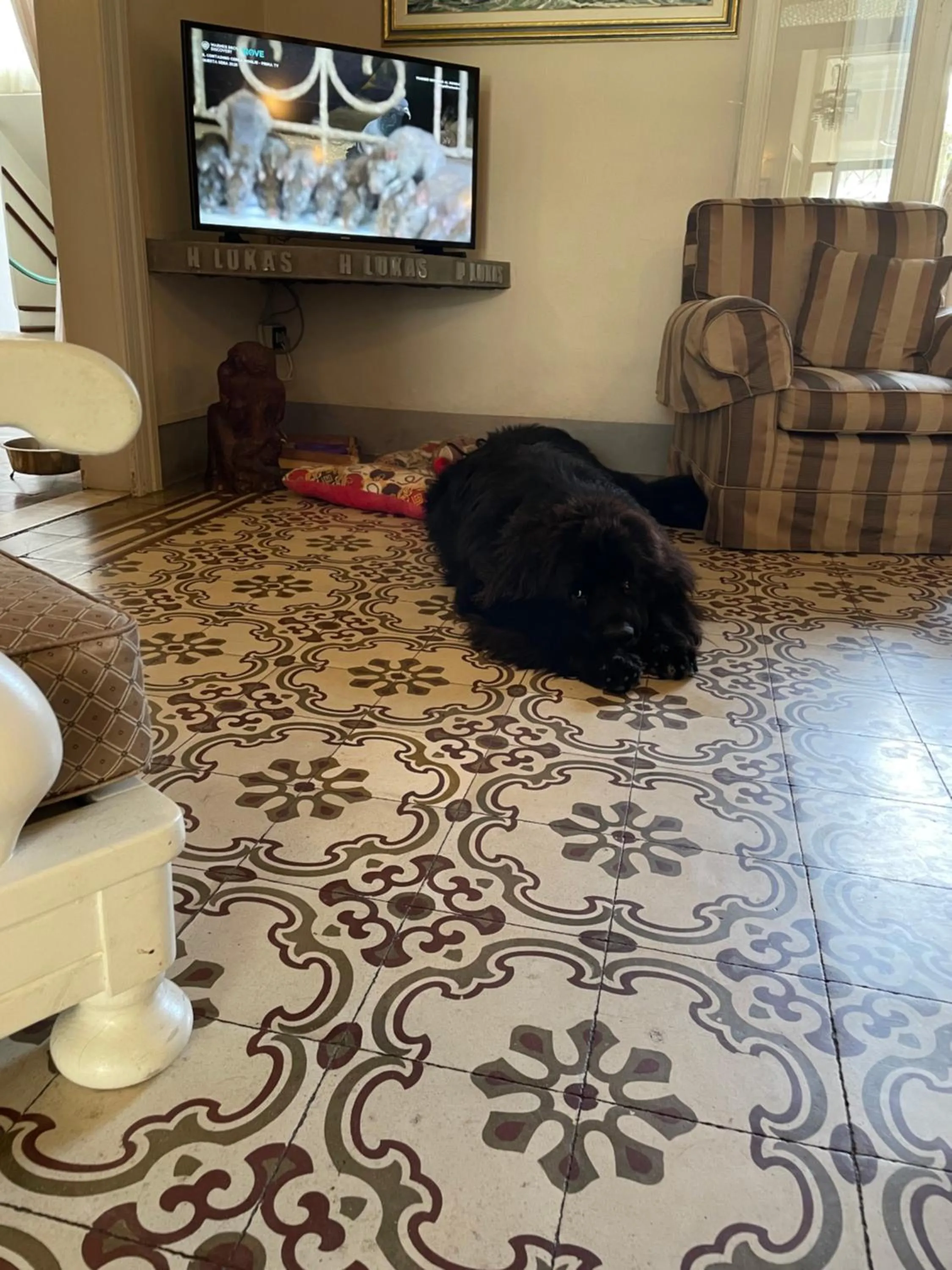 Decorative detail in Hotel Lukas Vegetarian & Vegan