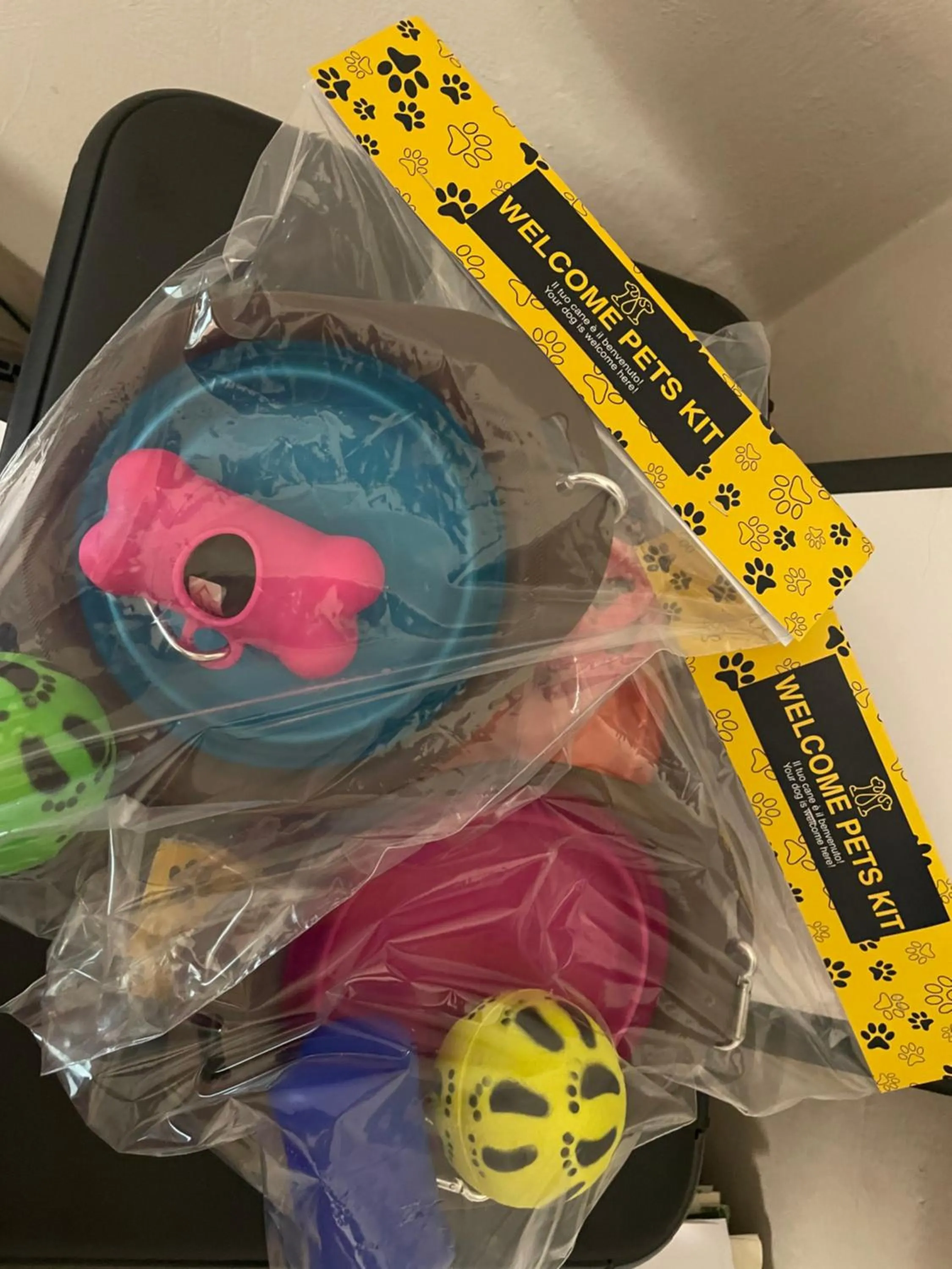 Animals in Hotel Lukas Vegetarian & Vegan