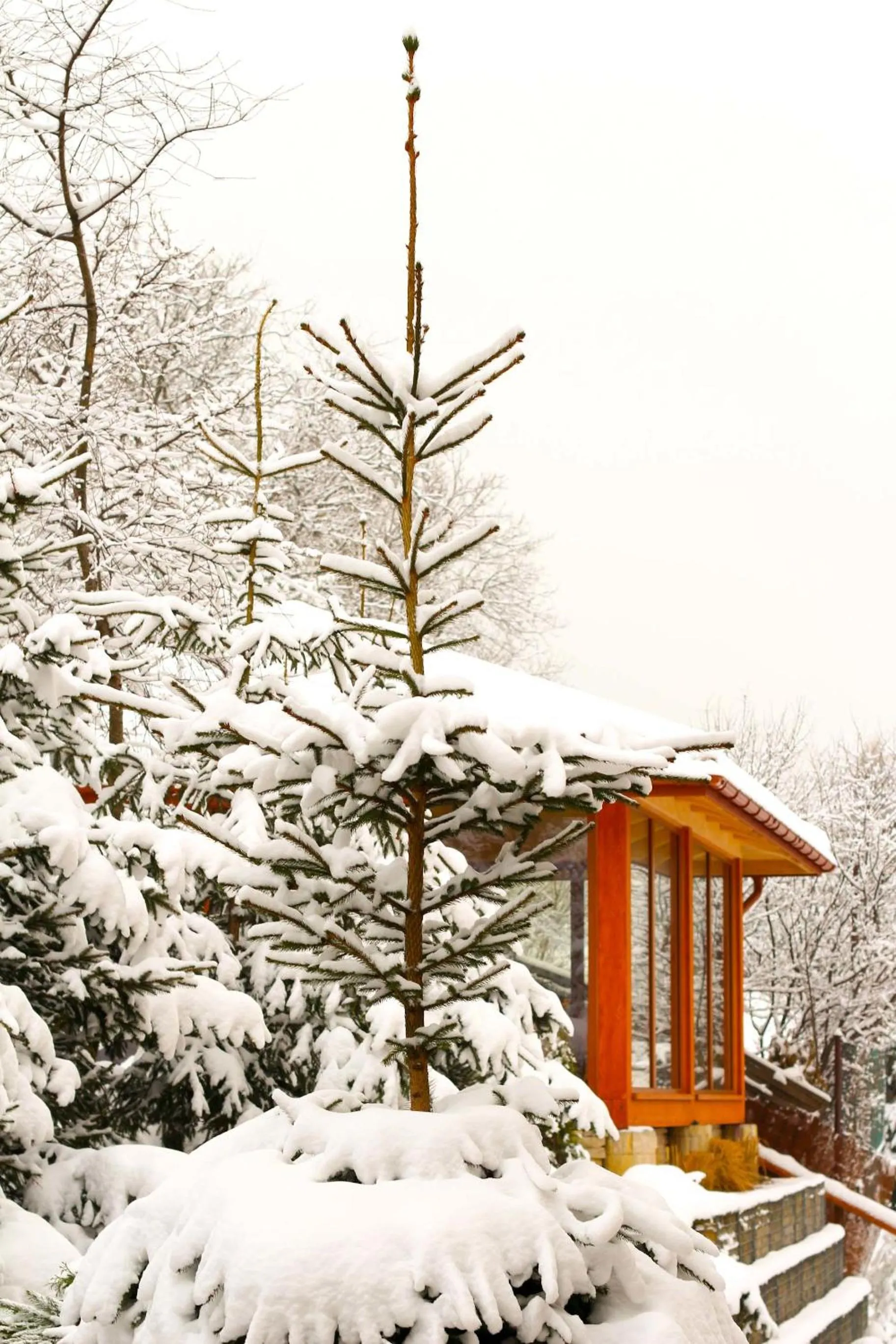 Garden in Janda Resort & Conference