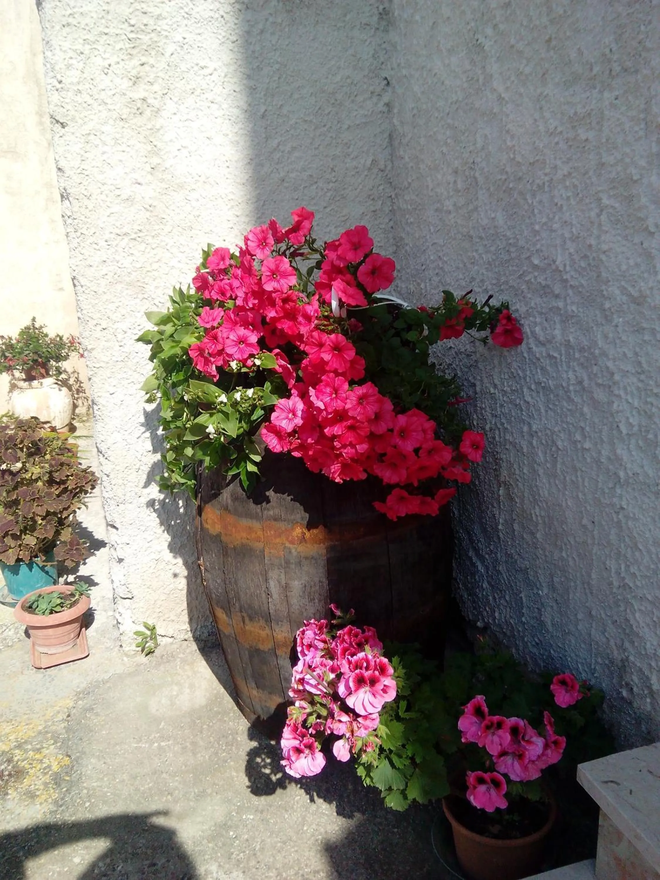 Garden in Baglio Bellavista