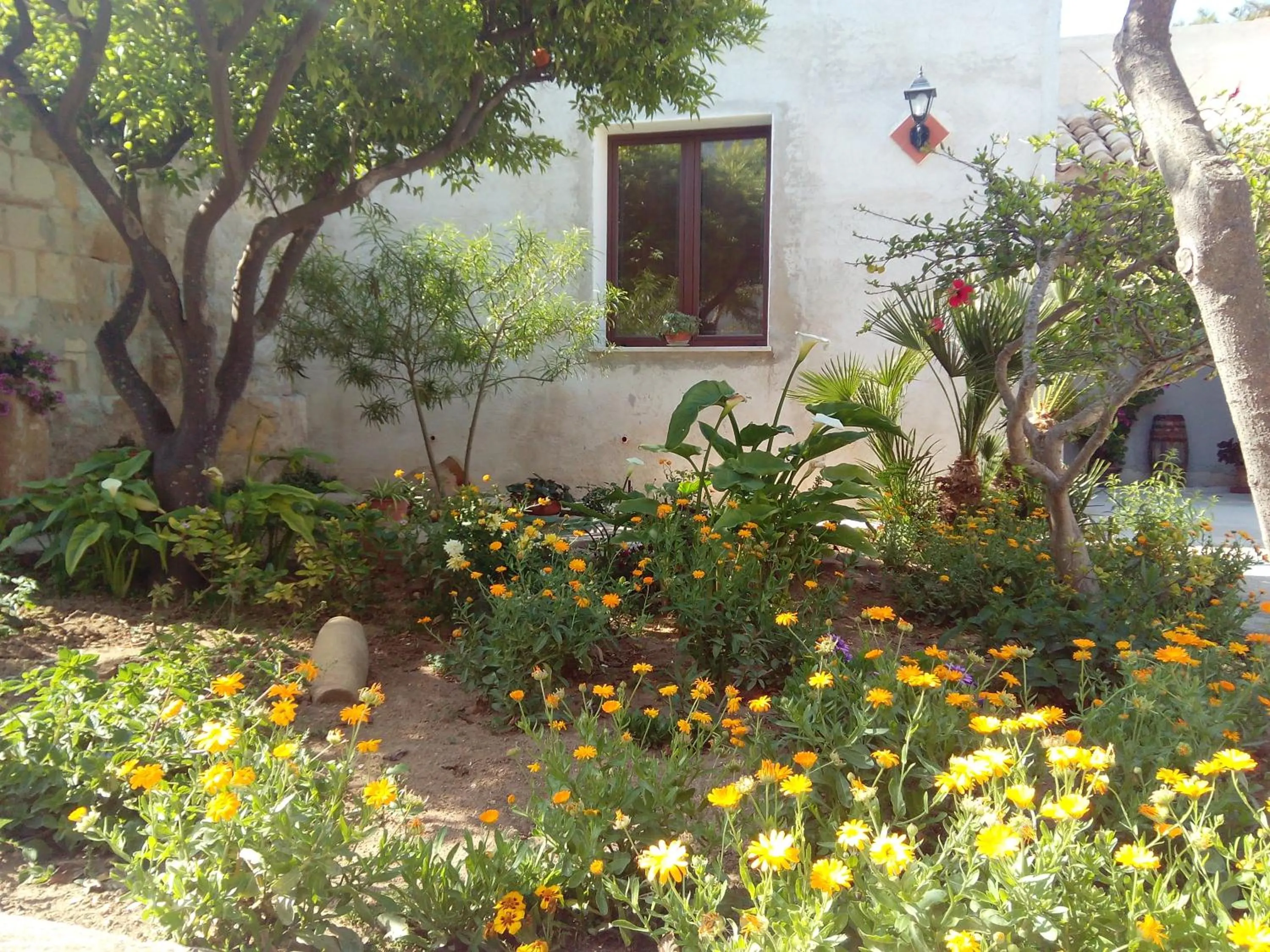 Natural landscape in Baglio Bellavista