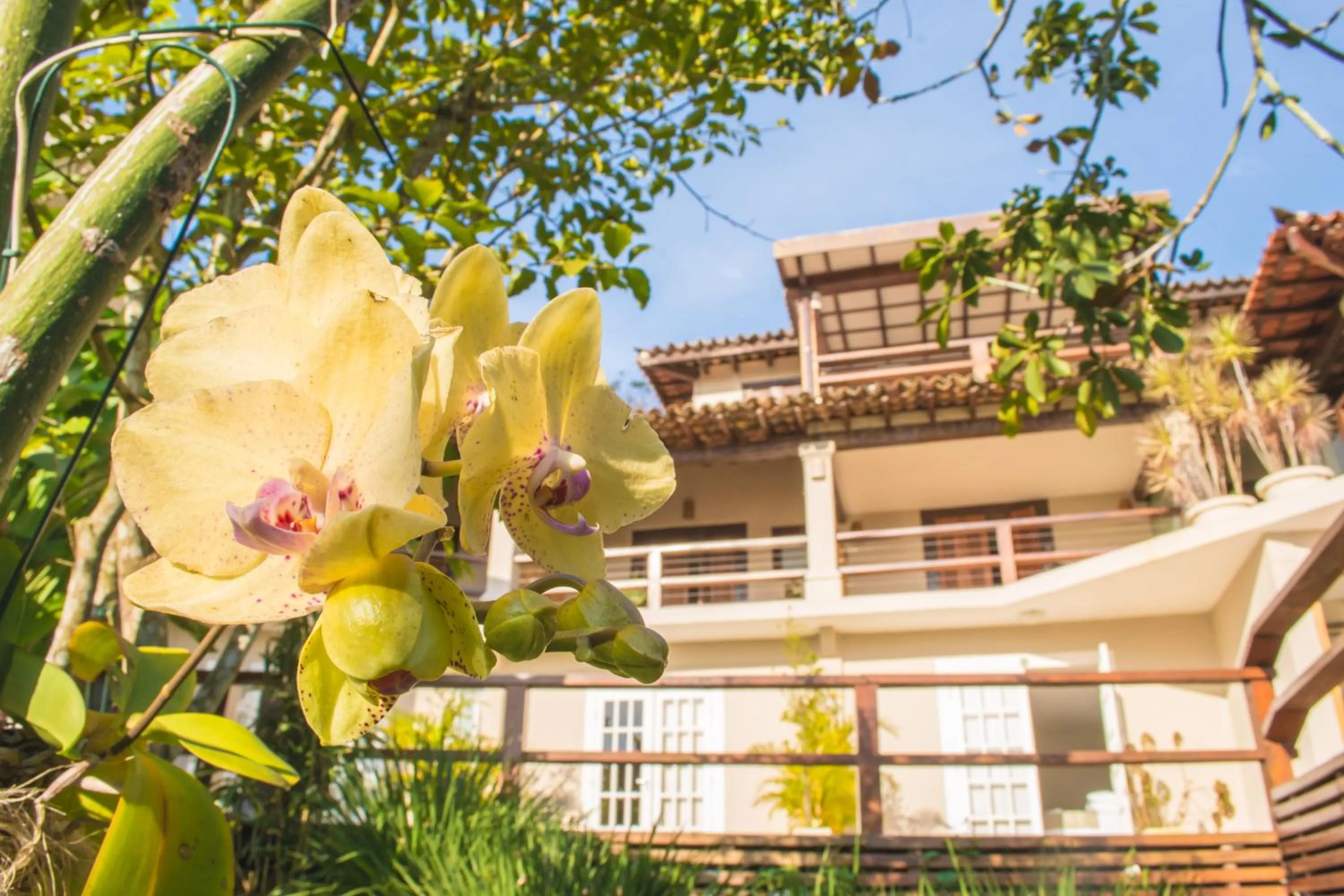 Property building in Pousada Blue Ocean