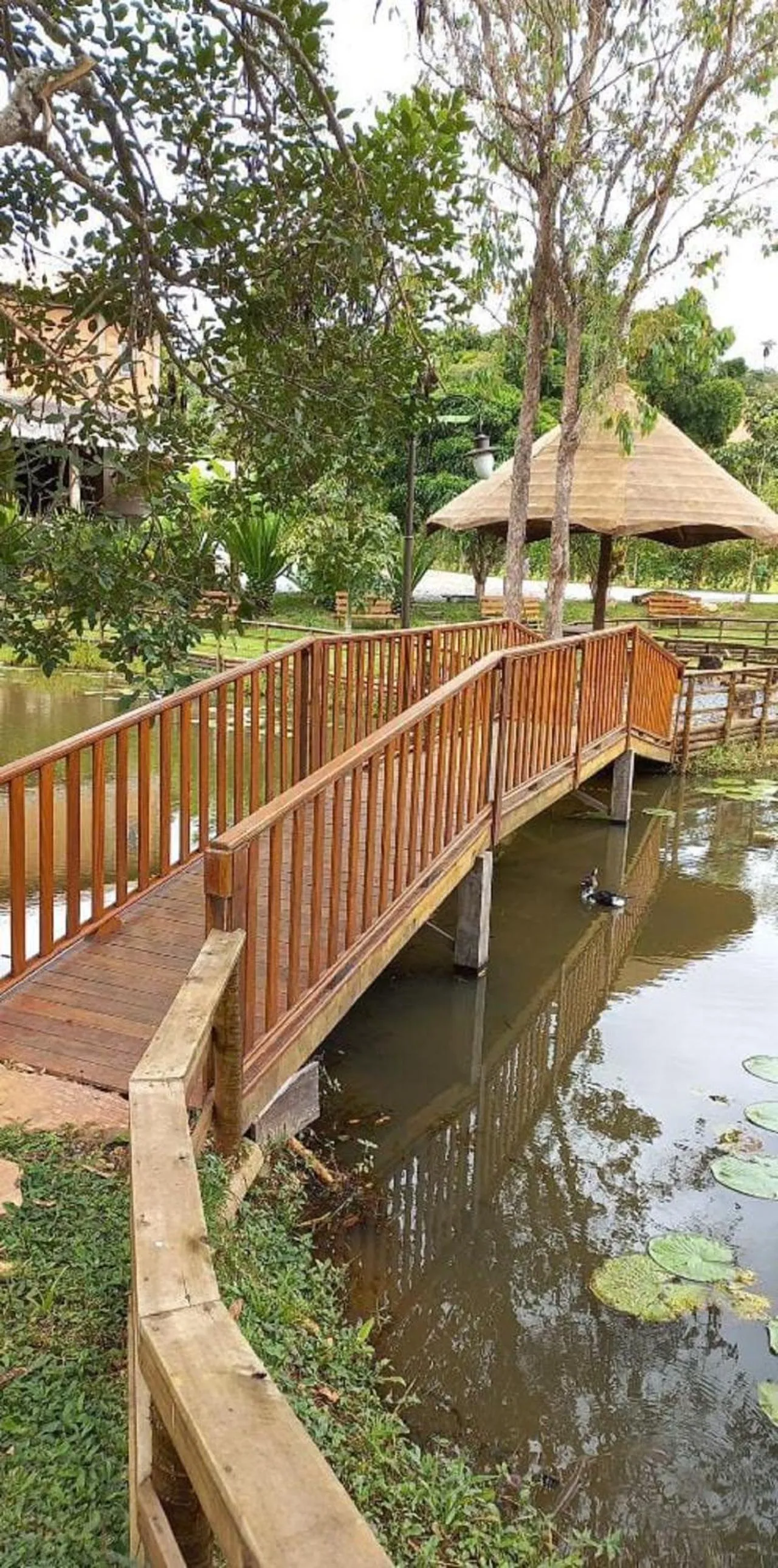 Garden view in Pousada Olaria - Chalés e Suítes