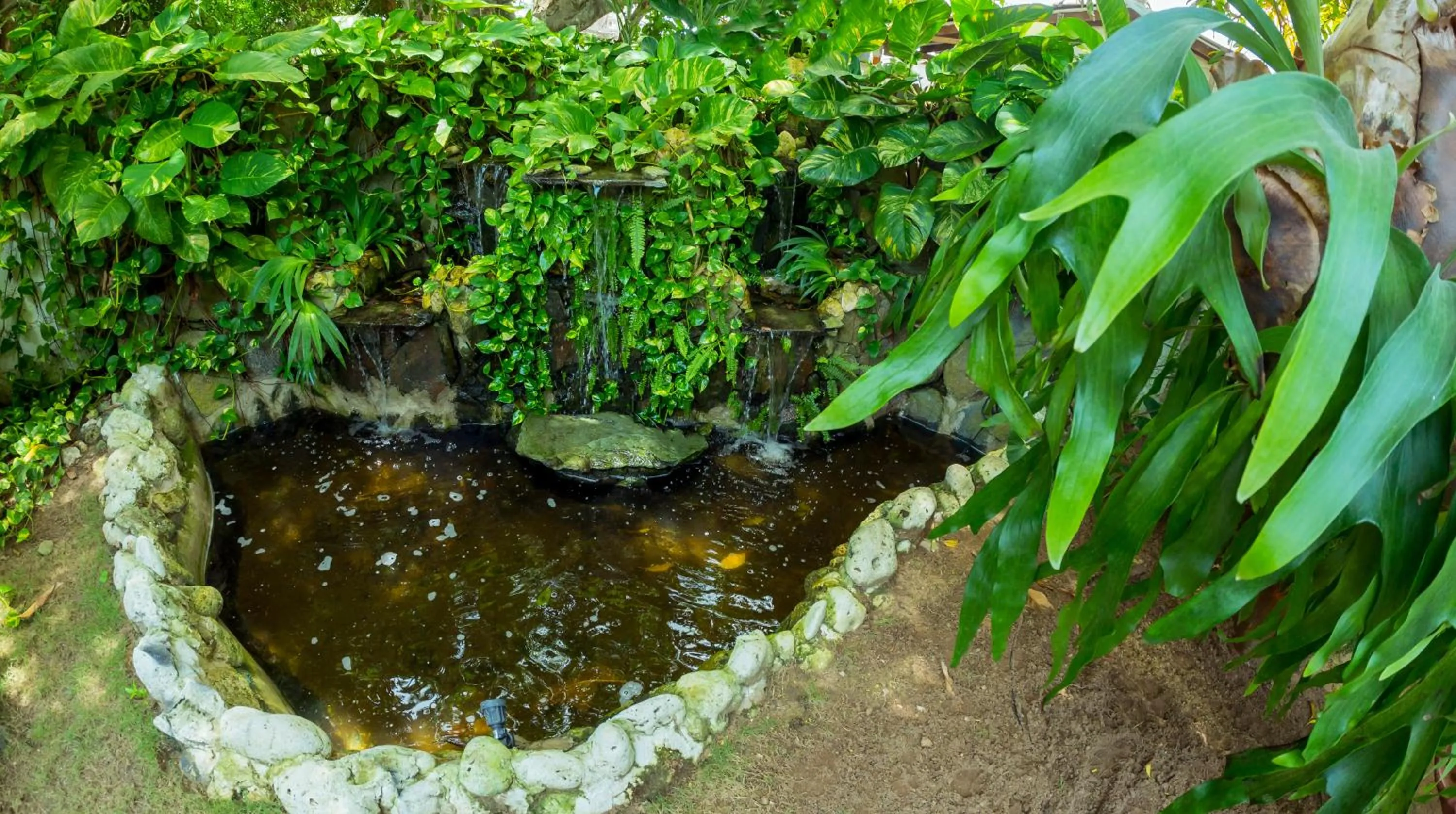 Area and facilities in Portoazul Casa de Playa