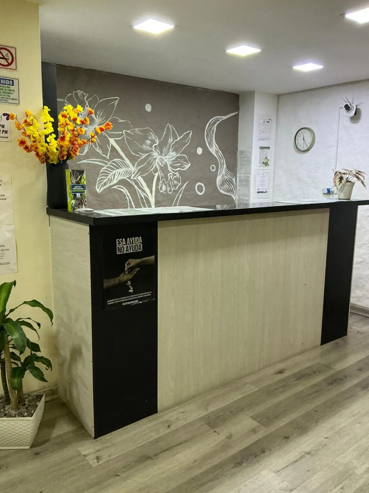 Lobby or reception in Hotel Las Flores