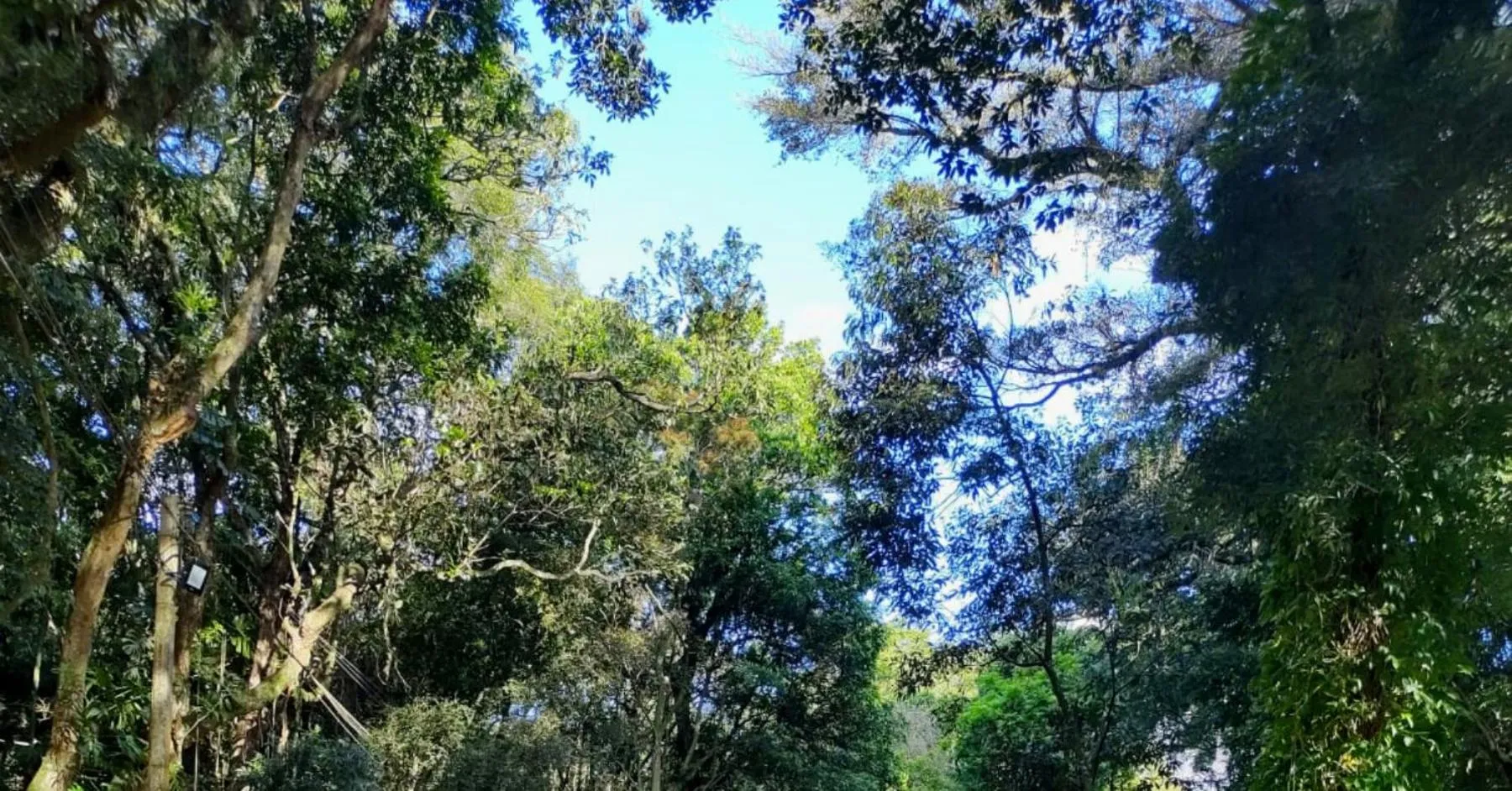 Garden in Vila Betânia