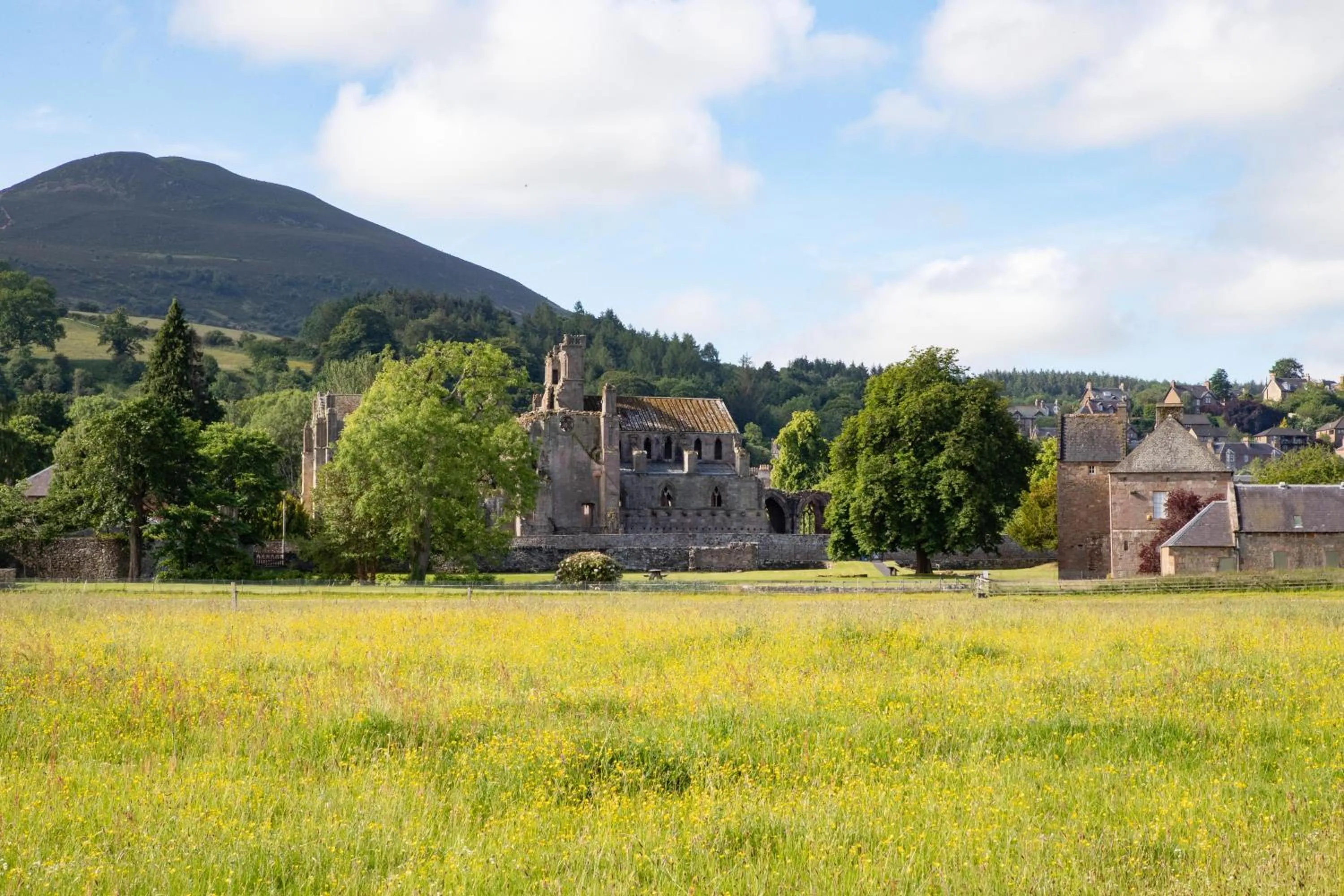 Natural landscape in The Waverley Castle Hotel