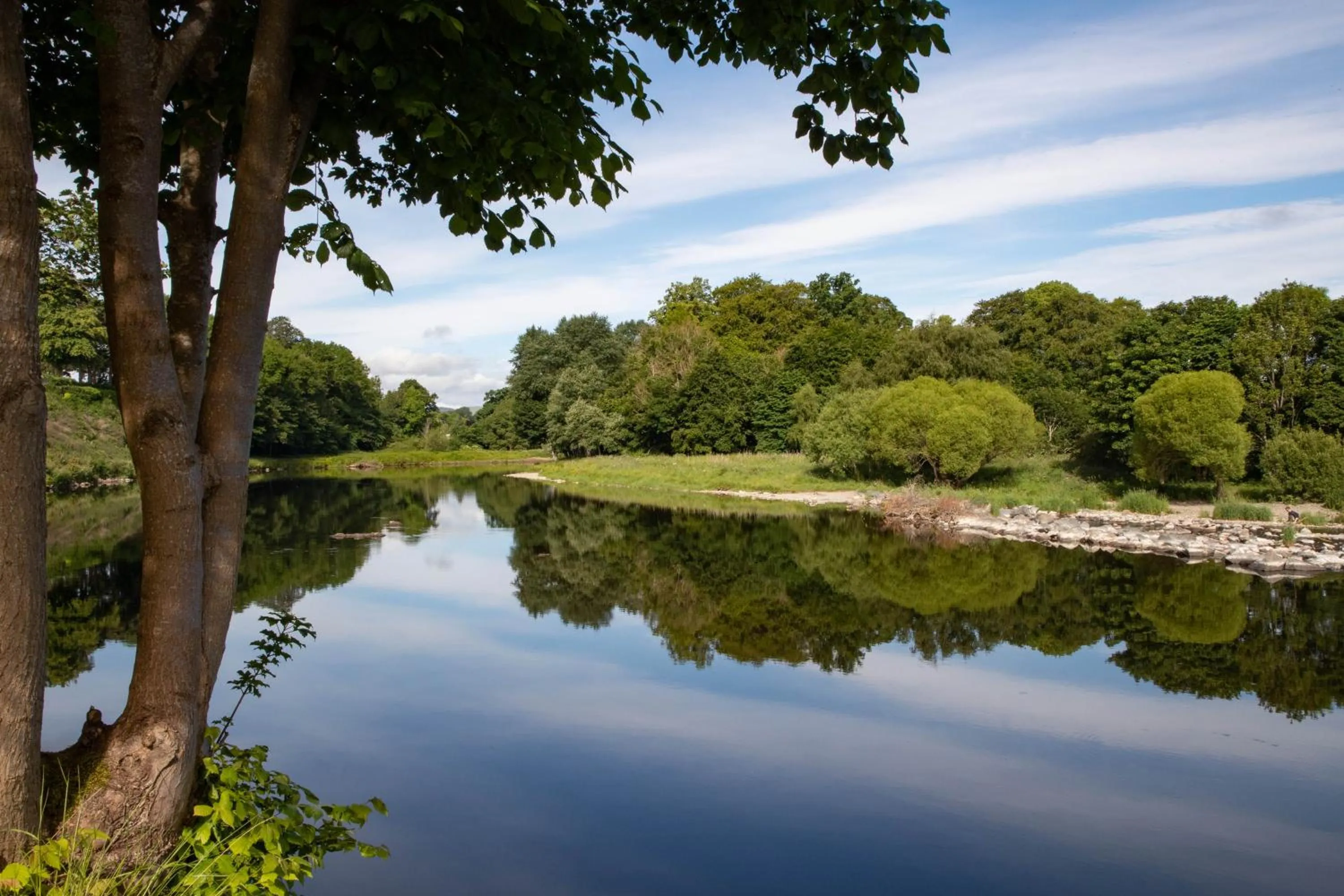 Natural landscape in The Waverley Castle Hotel