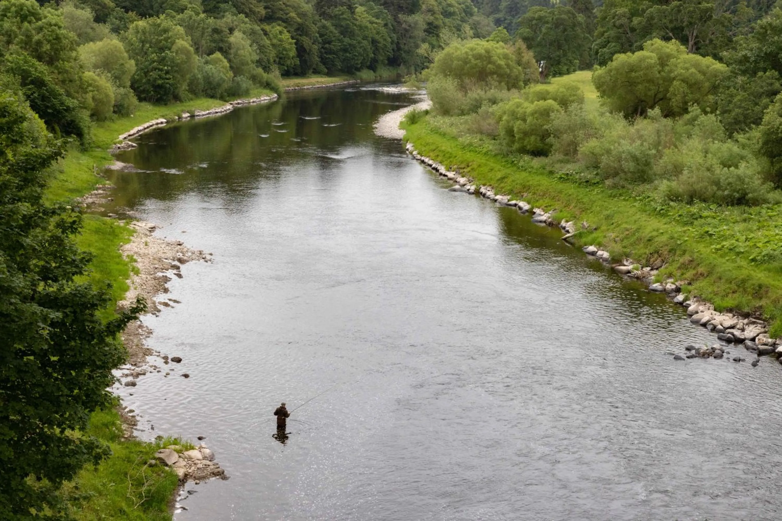 Natural landscape in The Waverley Castle Hotel