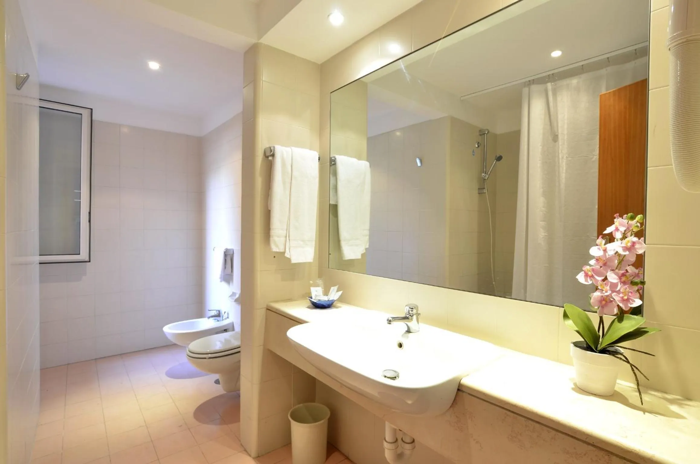 Bathroom in Hotel Tex