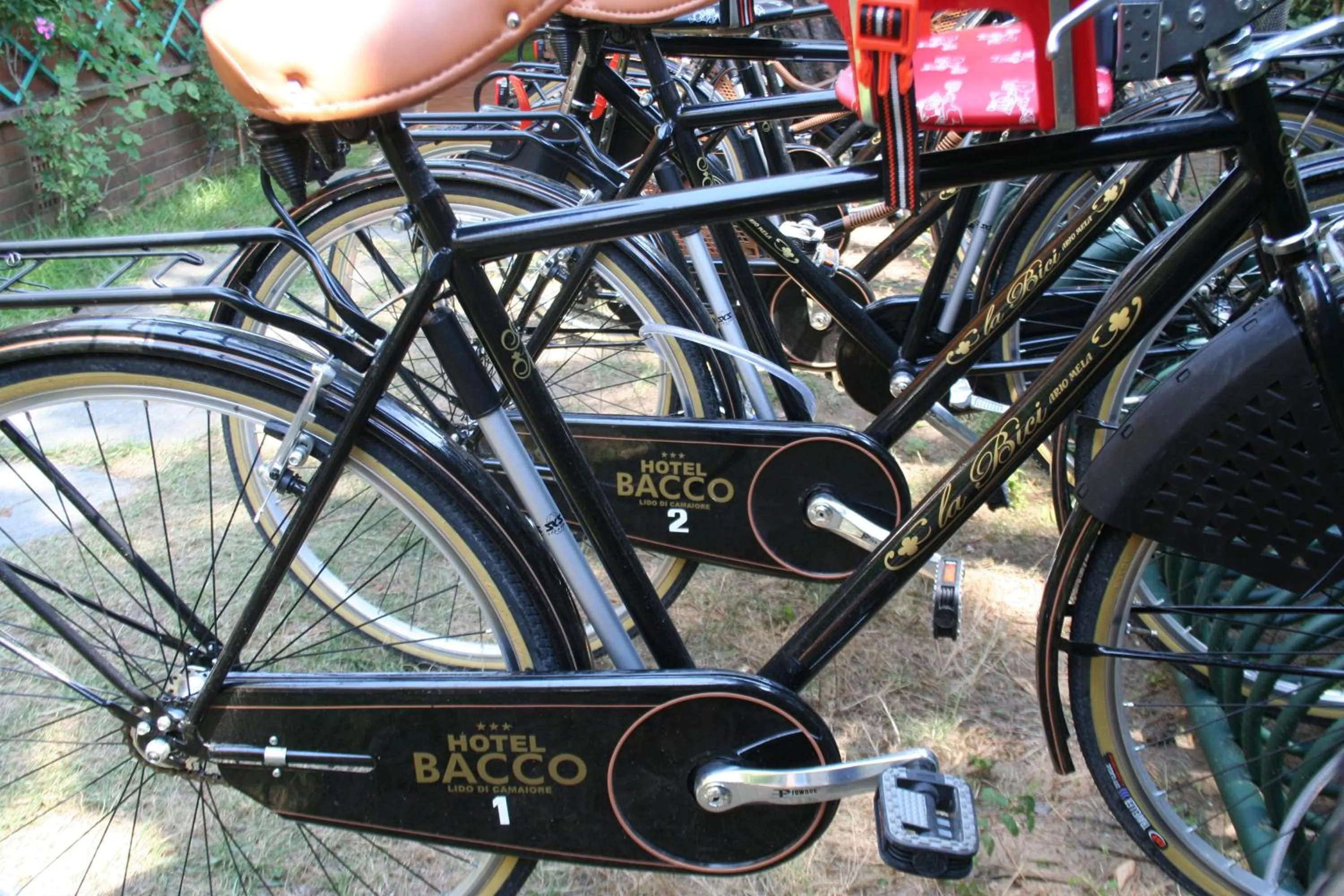 Activities in Hotel Bacco