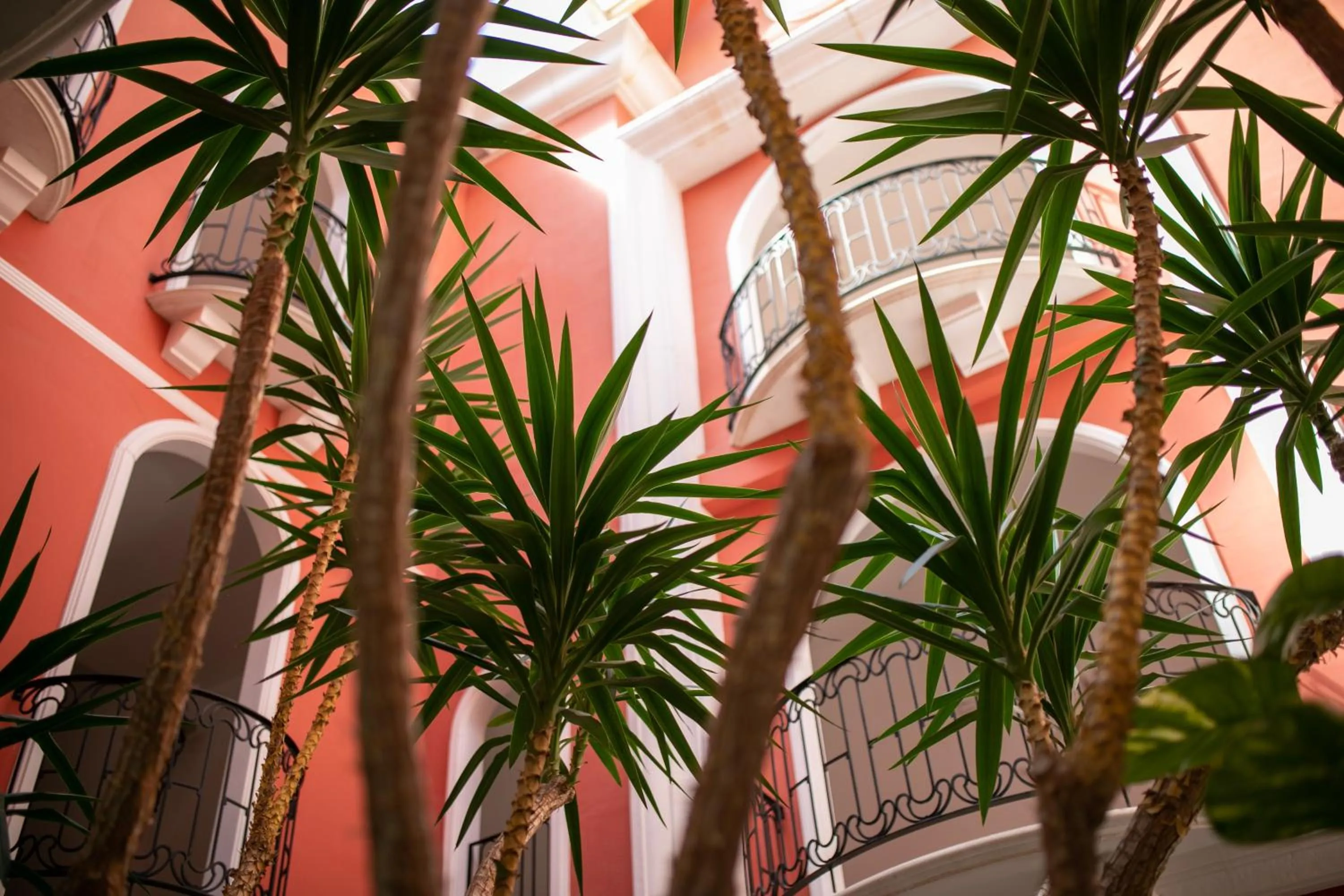 Lobby or reception in Phi Hotel Sighientu