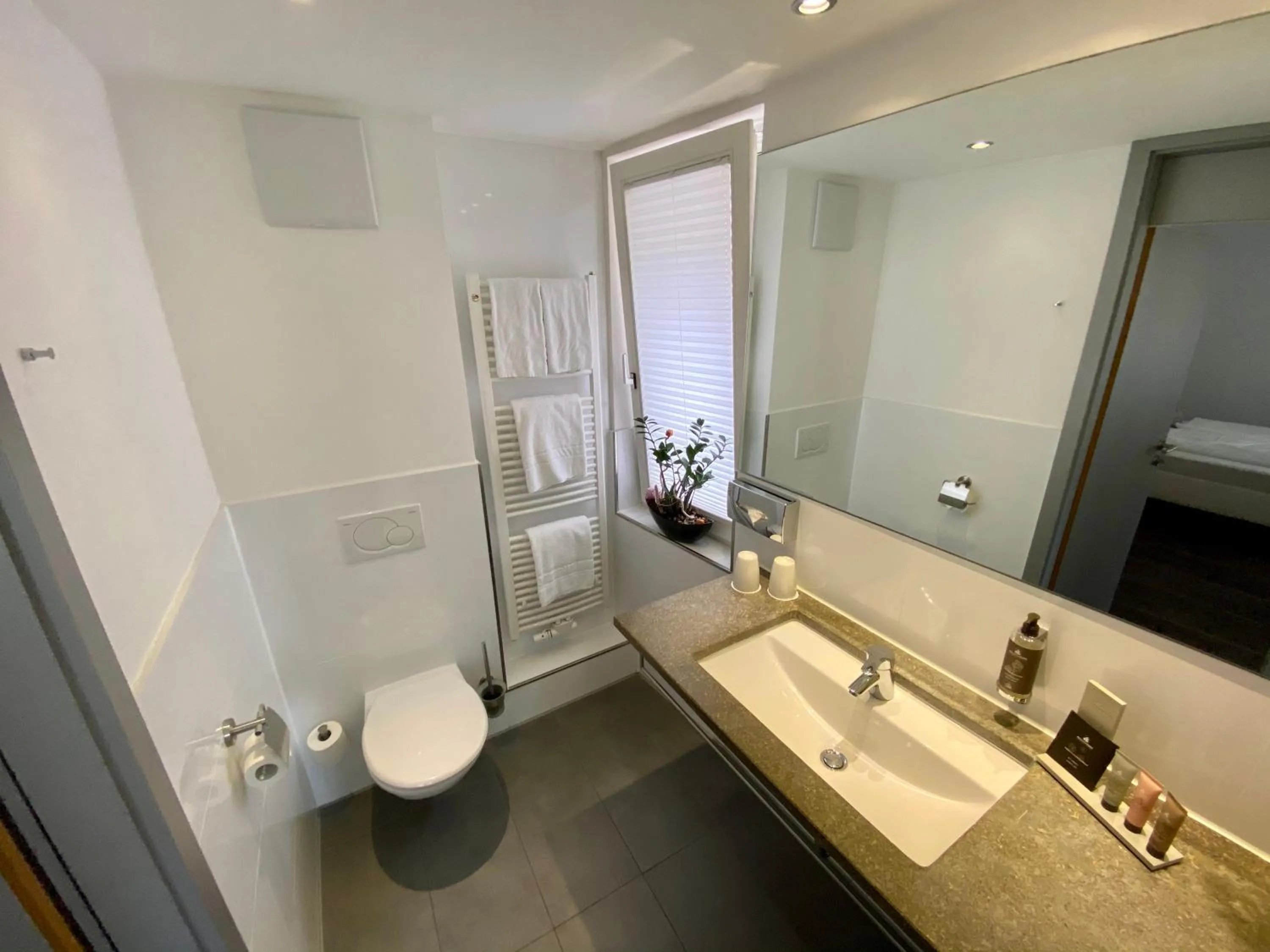 Bathroom in Altstadt Hotel Baunachshof