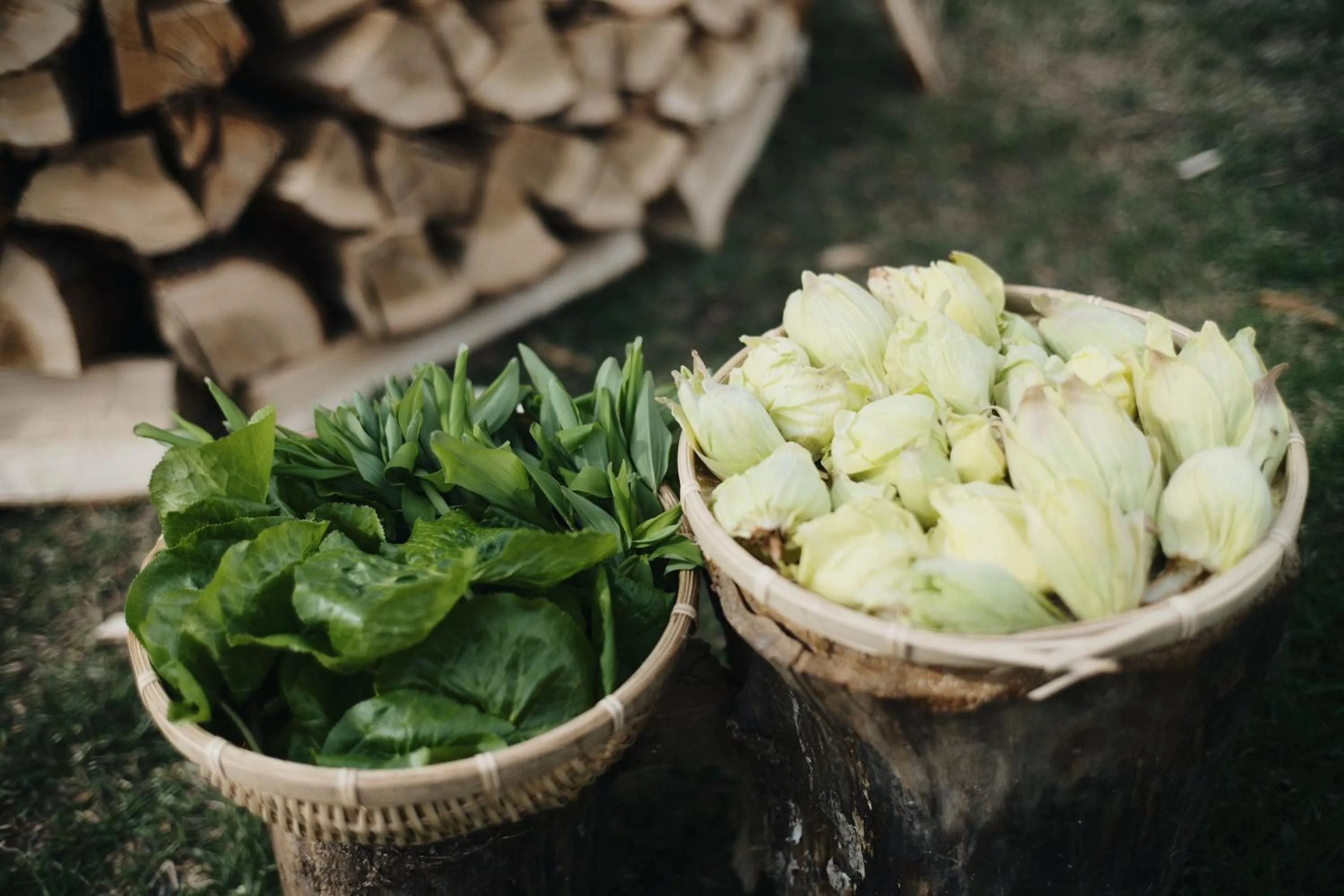 Food and drinks in RONENAI BASE