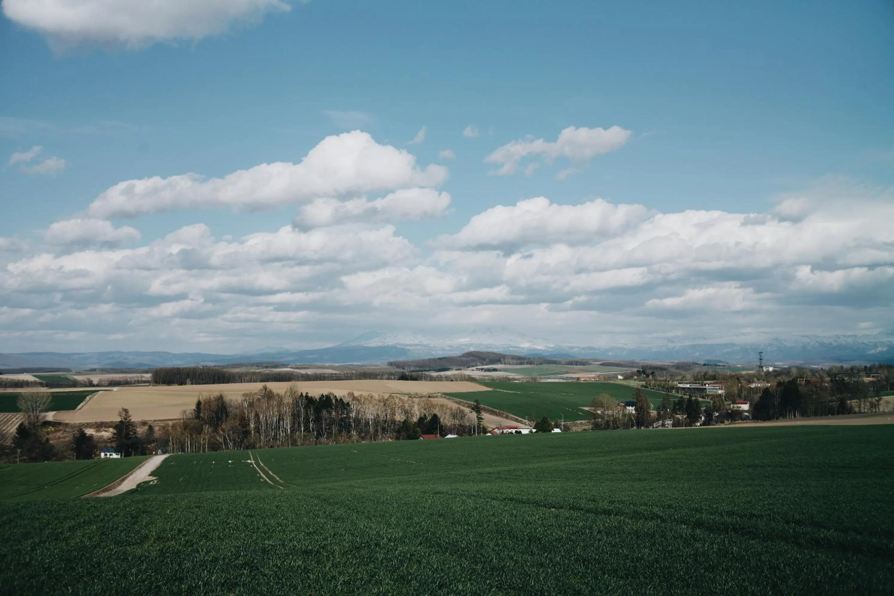 Neighbourhood in RONENAI BASE