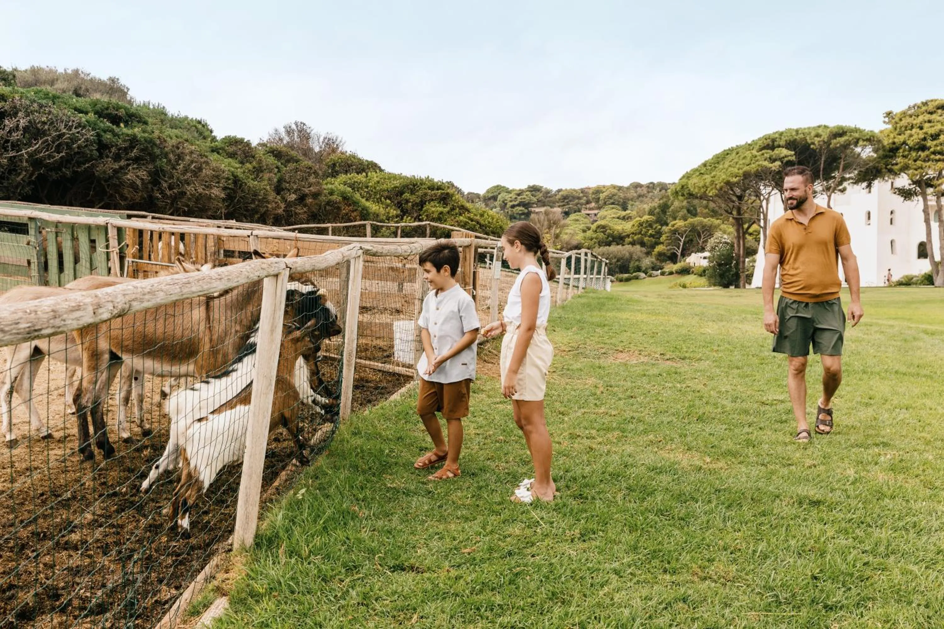 Activities in Falkensteiner Resort Capo Boi