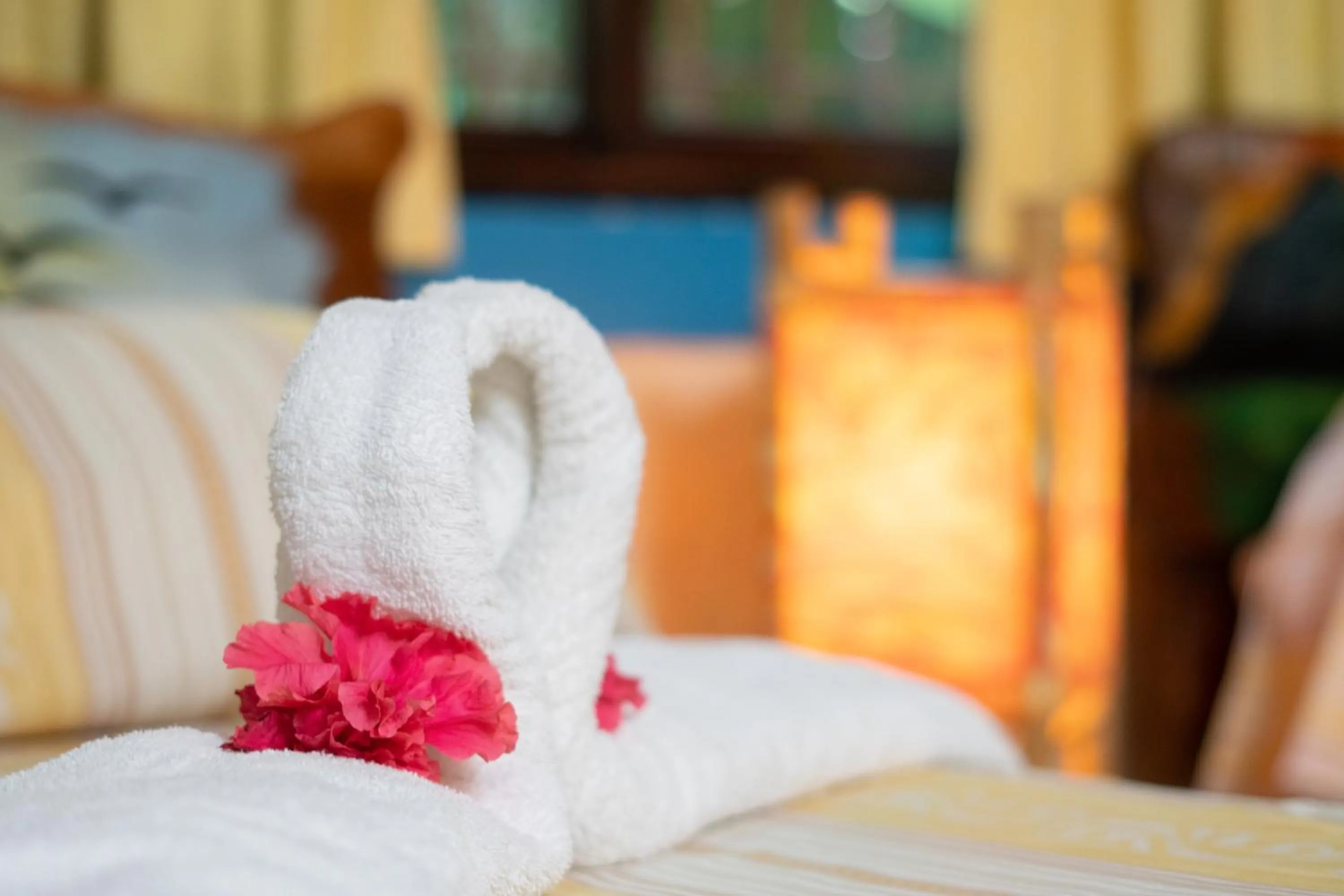 Bed in Atlantida Lodge Cahuita