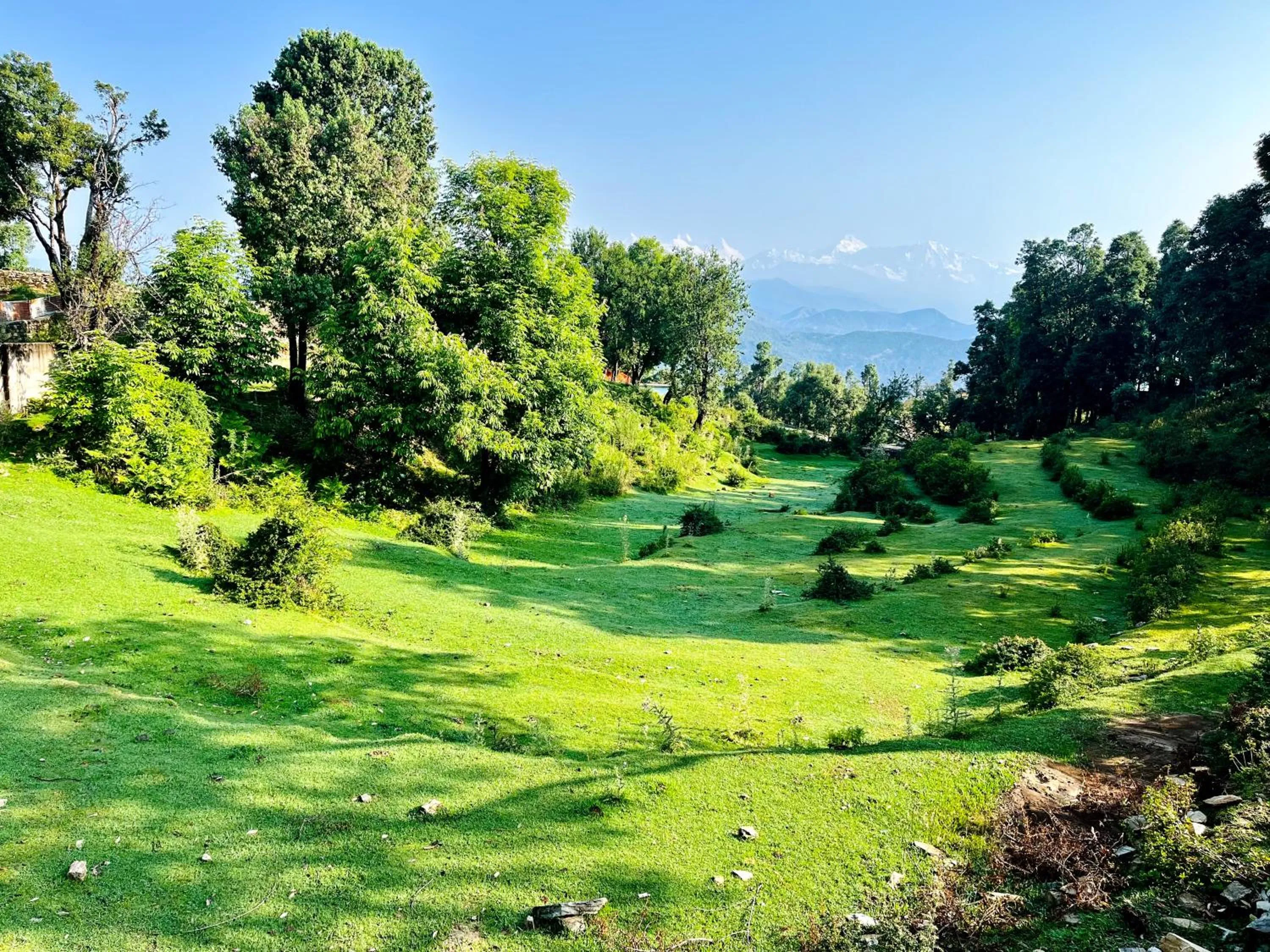 Garden view in NEELGAGAN RESORT