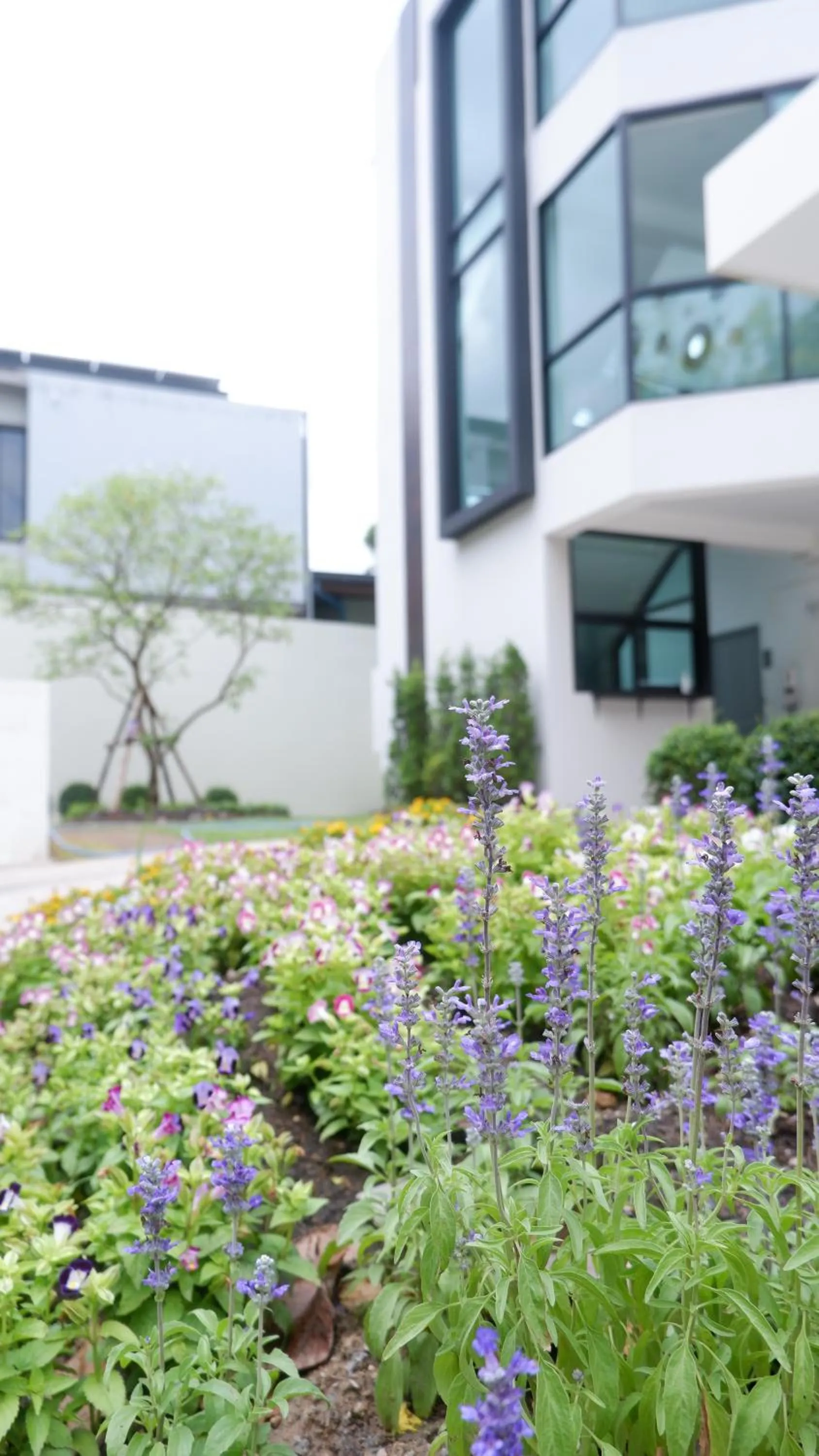 Garden view in Darin Chiangmai Hotel and Residence