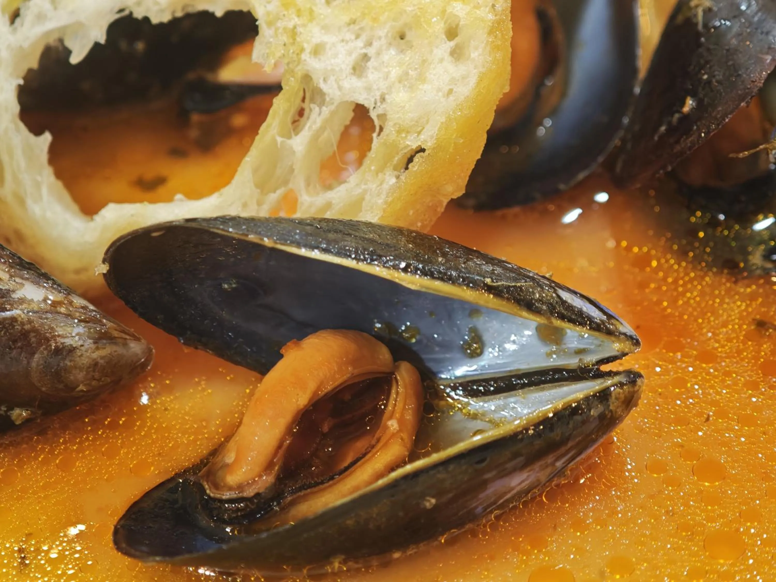 Food and drinks in Marina Club Hotel