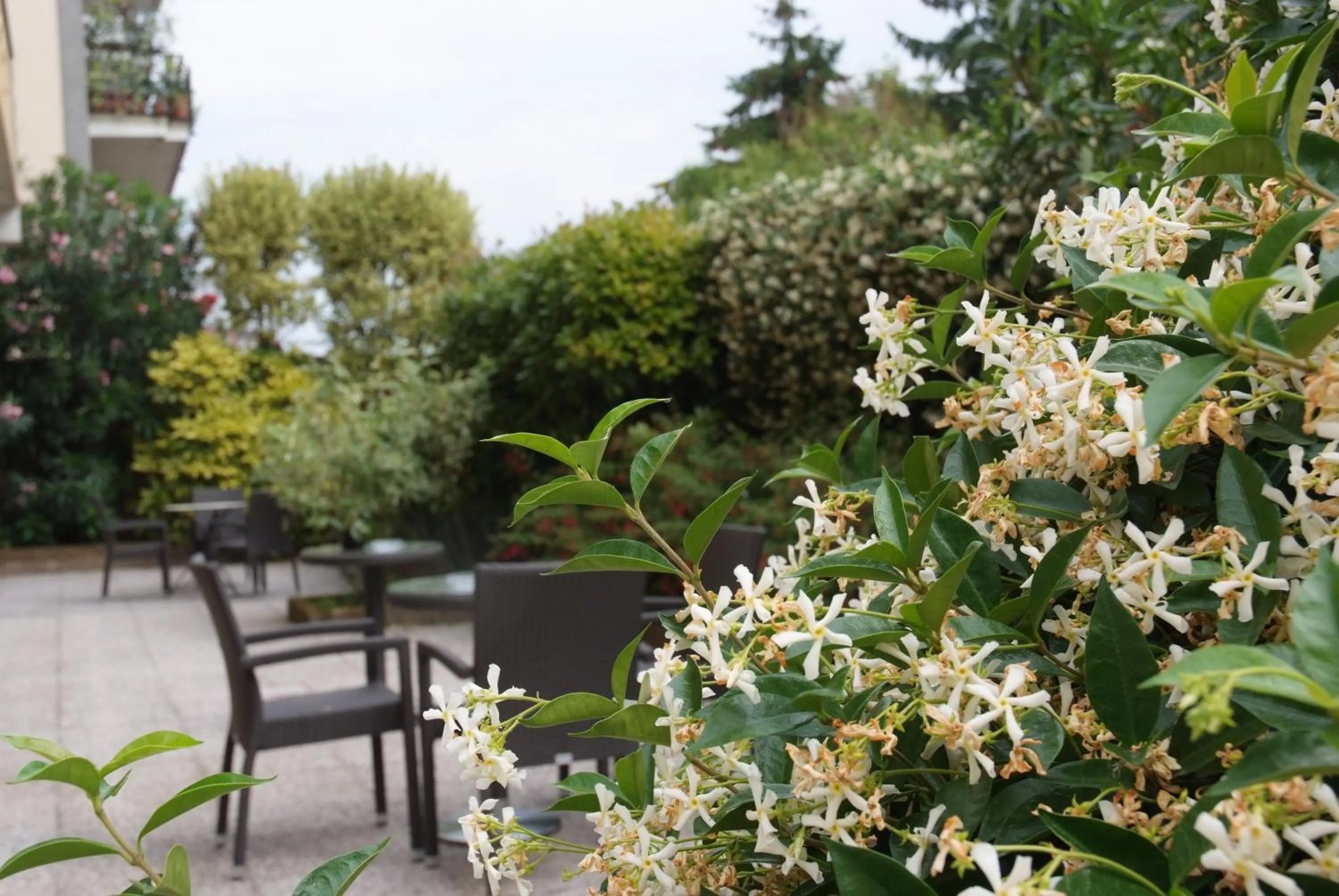 Patio in Hotel Astoria