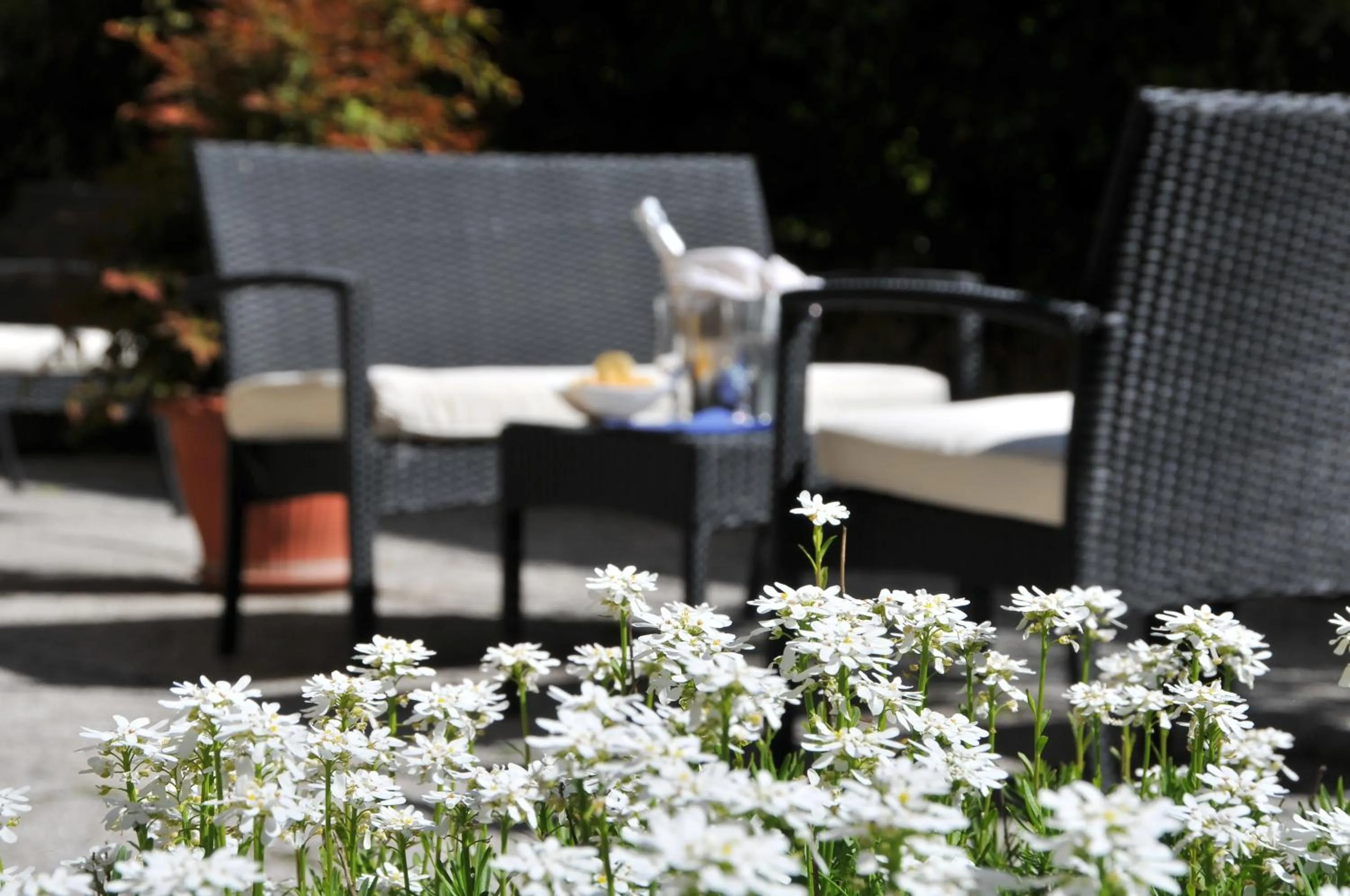 Patio in Hotel Astoria