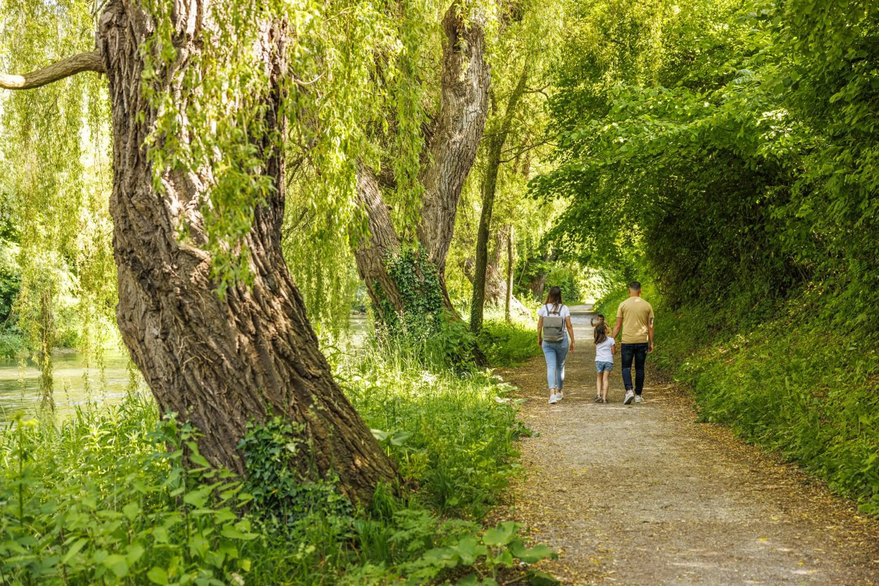 Hiking in Ibis Budget Singen