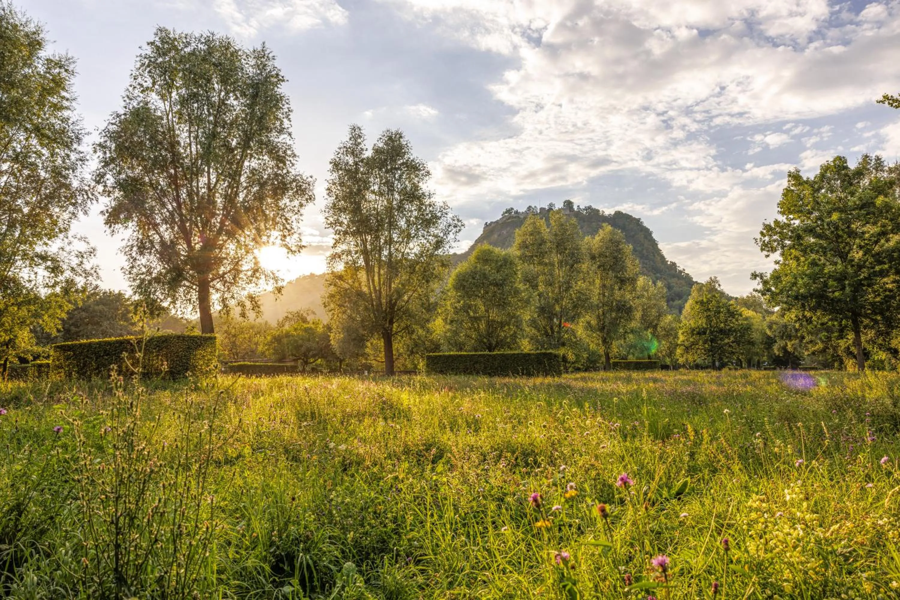Hiking in Ibis Styles Singen