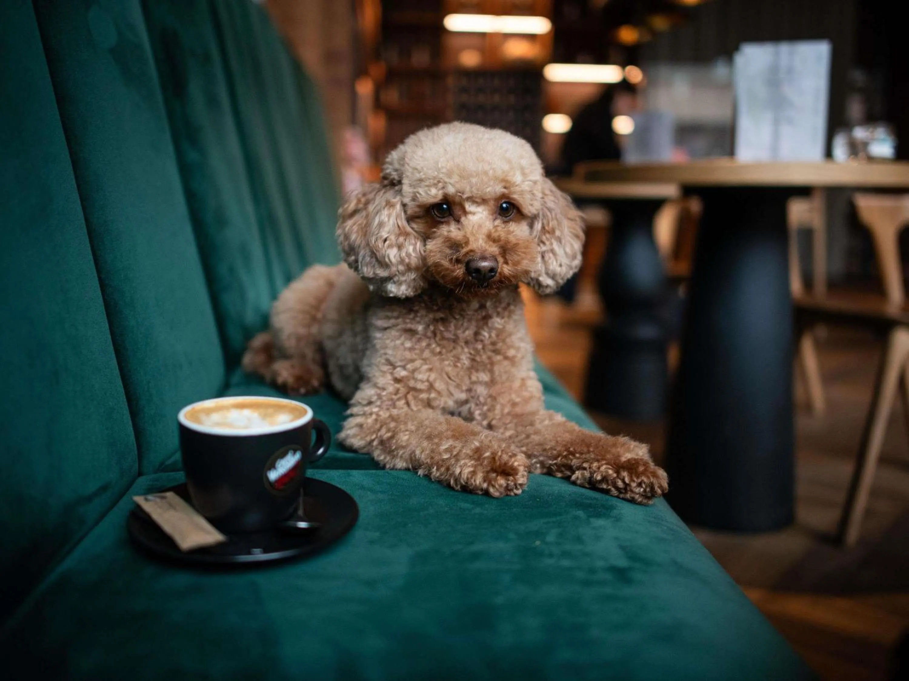 Other in Mercure Debrecen