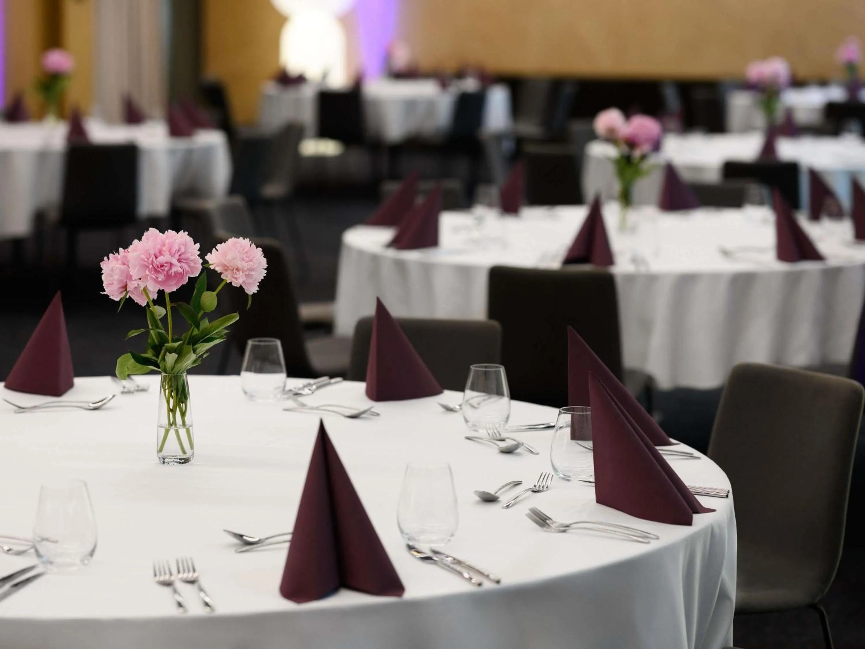 Meeting/conference room in Mercure Debrecen