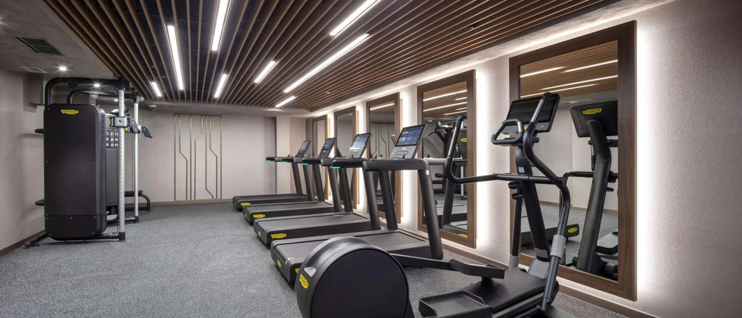 Fitness centre/facilities in Doubletree By Hilton Plovdiv Center