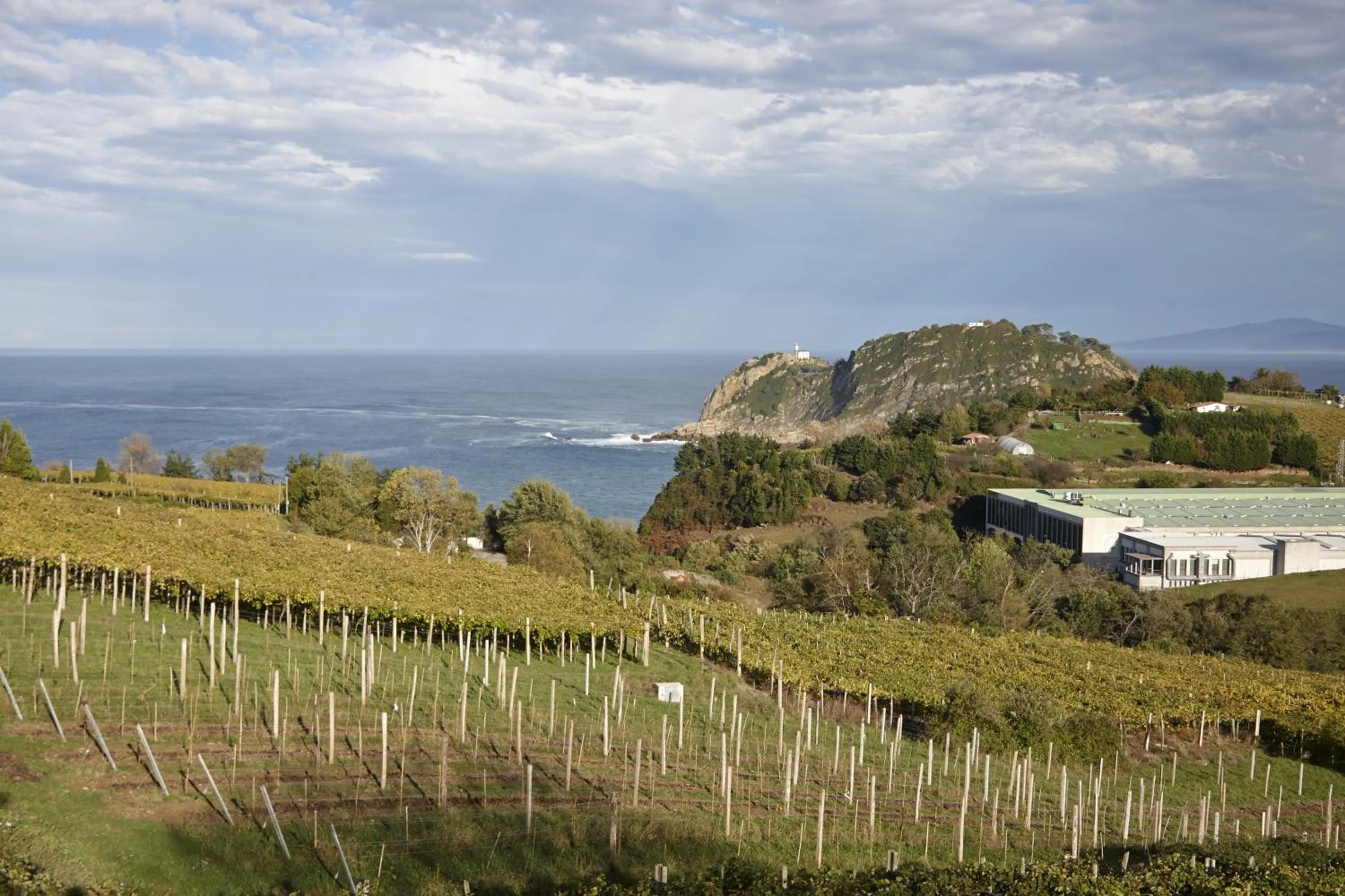 View (from property/room) in Hotel San Prudentzio
