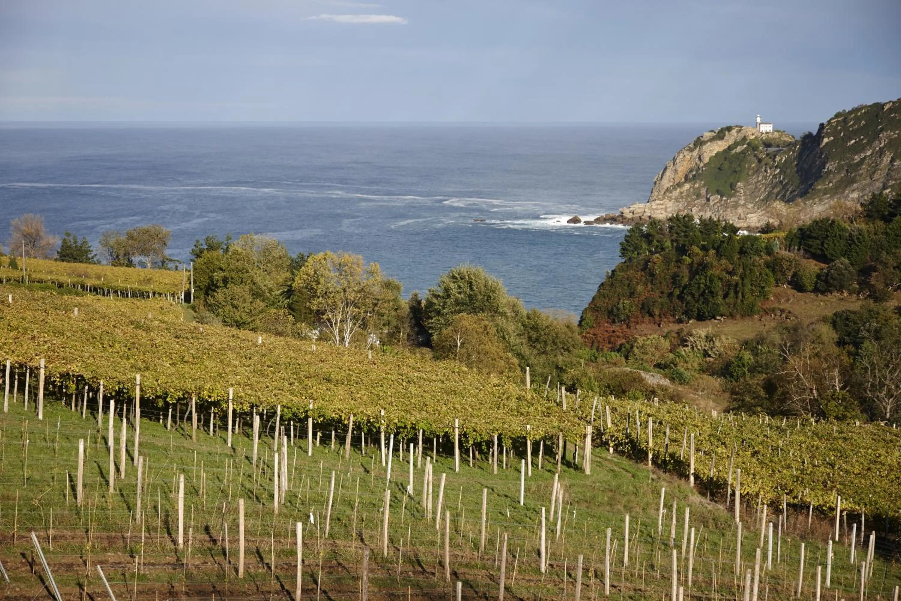 View (from property/room) in Hotel San Prudentzio