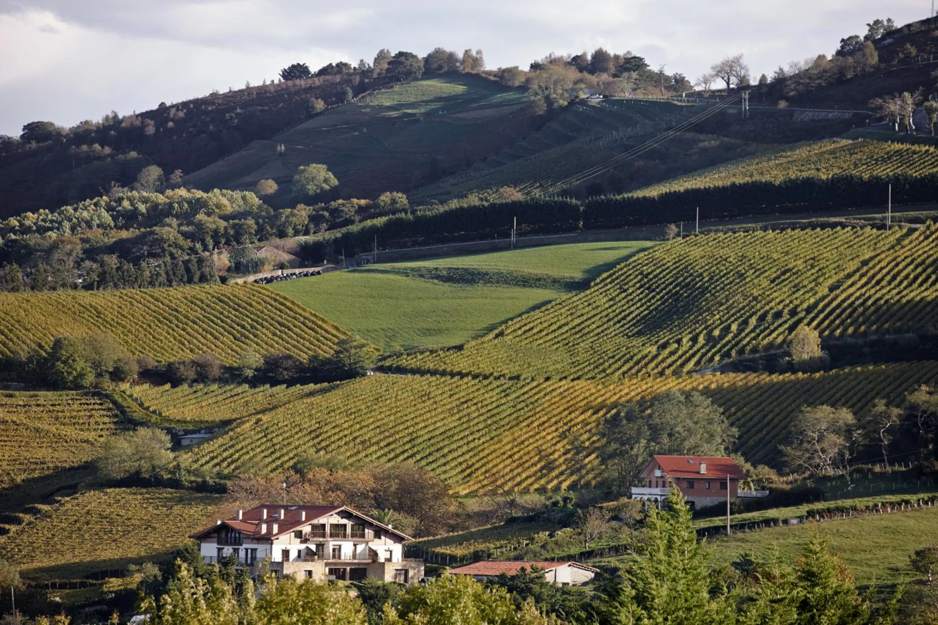 View (from property/room) in Hotel San Prudentzio