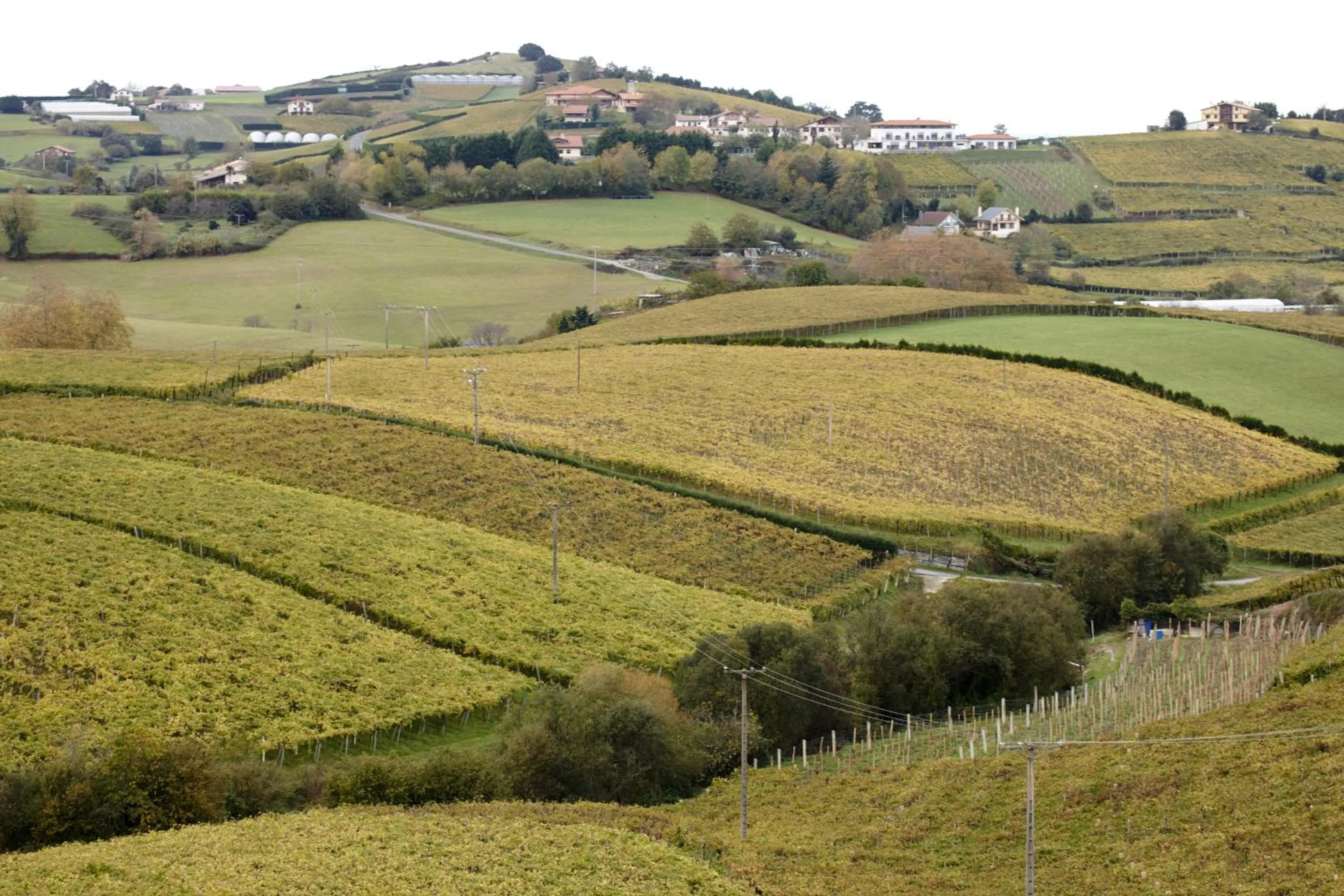 Area and facilities in Hotel San Prudentzio