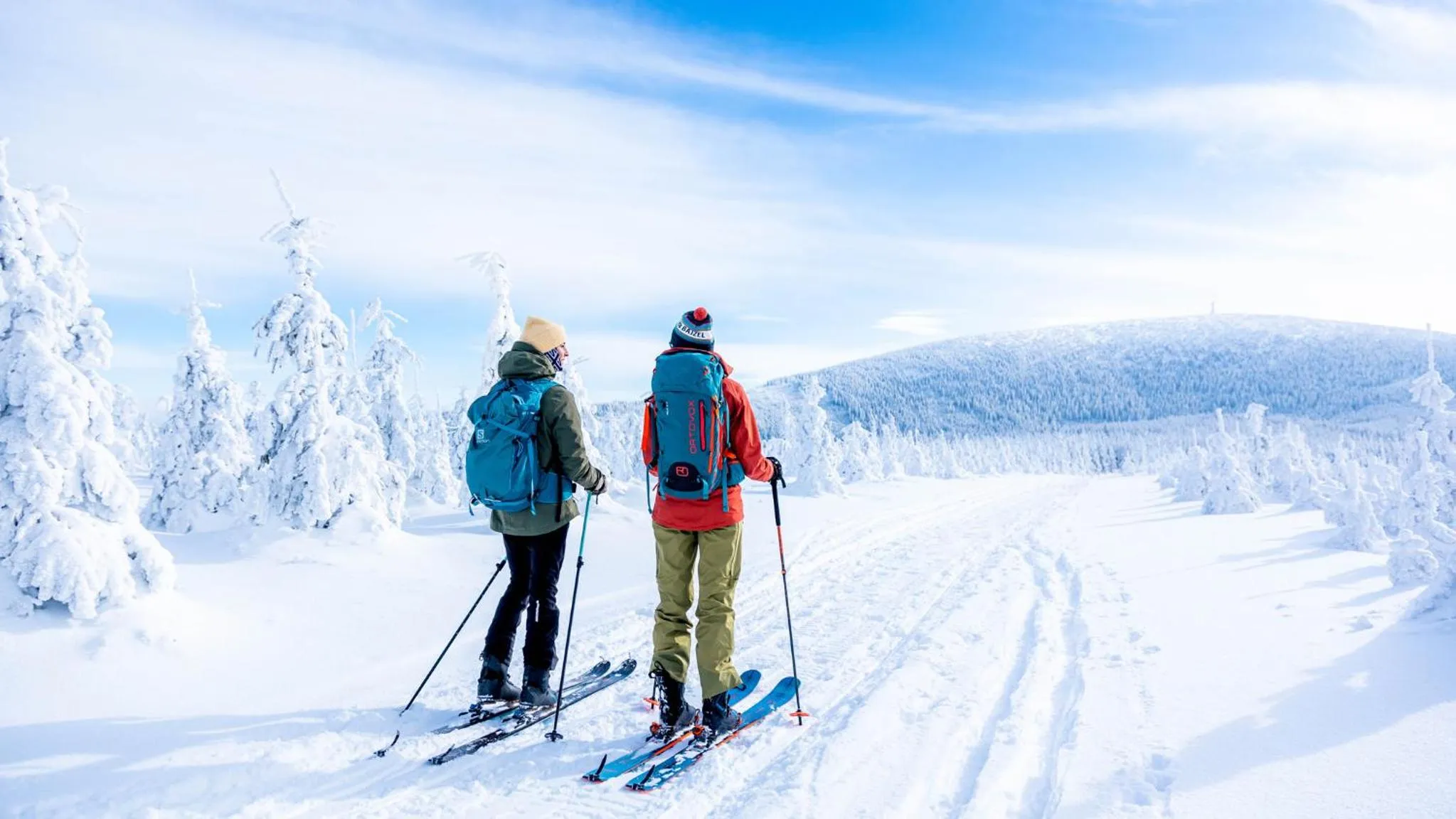 Property building in Holimo Hotel