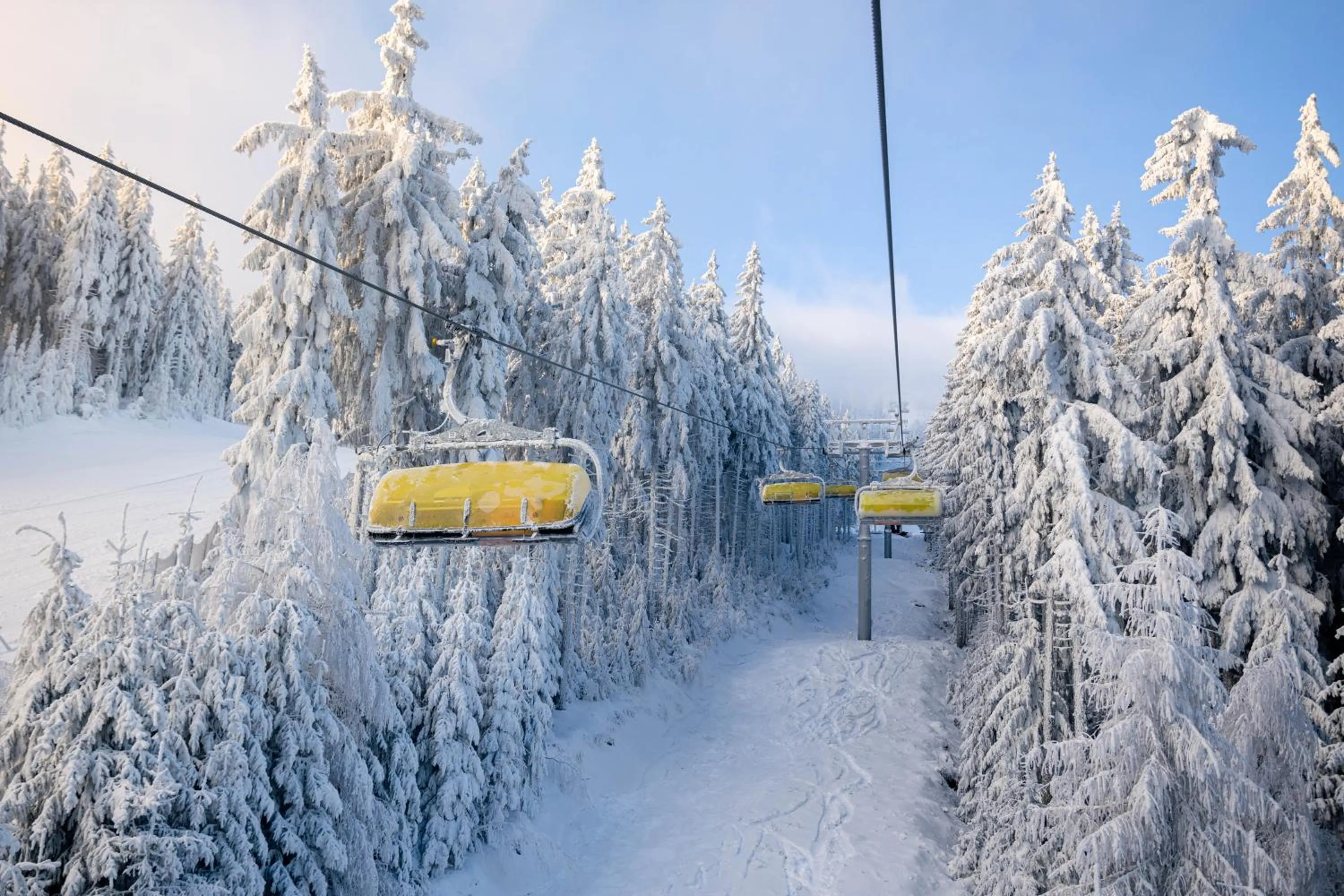 Property building in Holimo Hotel