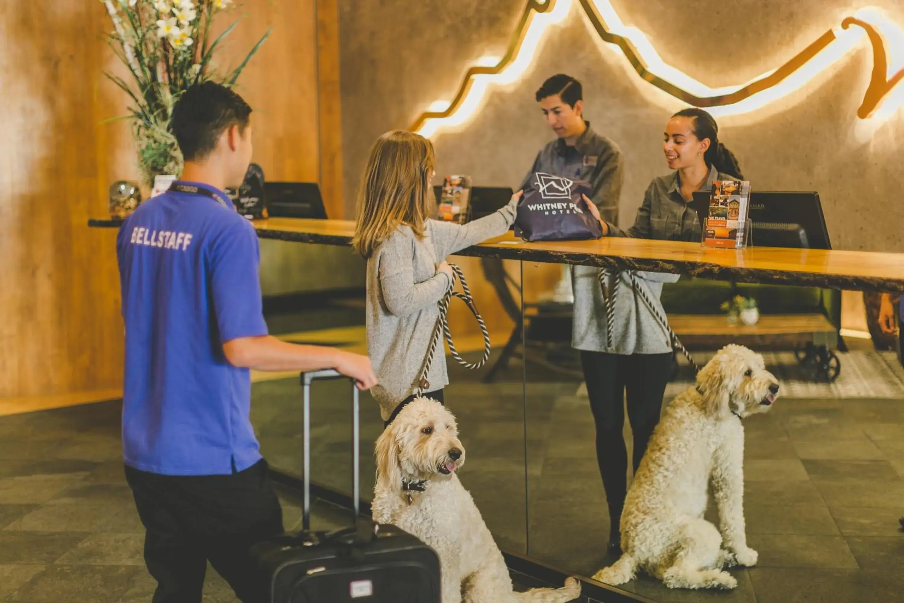 Lobby or reception in Whitney Peak Hotel Reno, Tapestry Collection by Hilton Lobby or reception in Whitney Peak Hotel Reno, Tapestry Collection by Hilton
