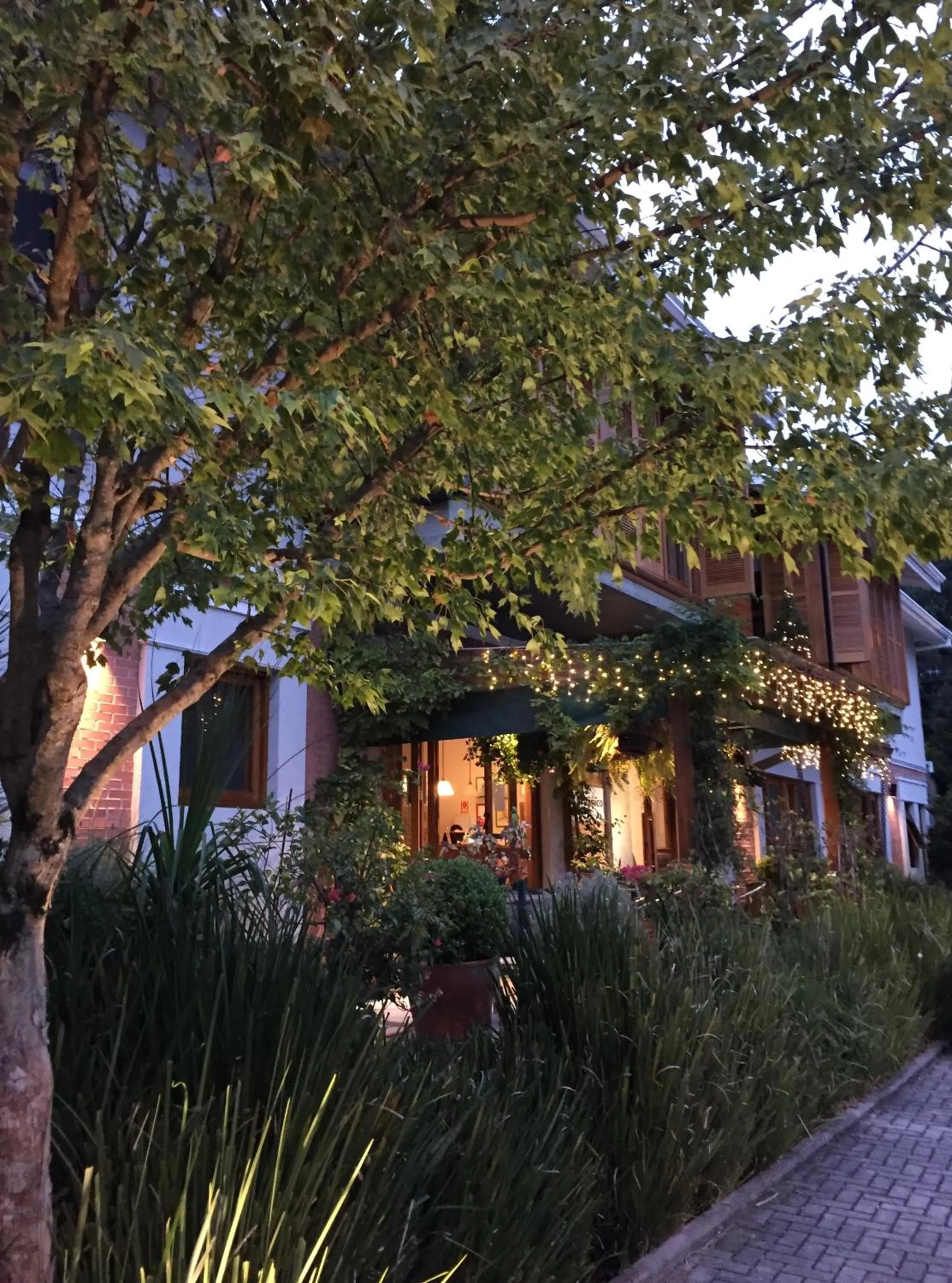 Garden in Hotel Boutique Britanico