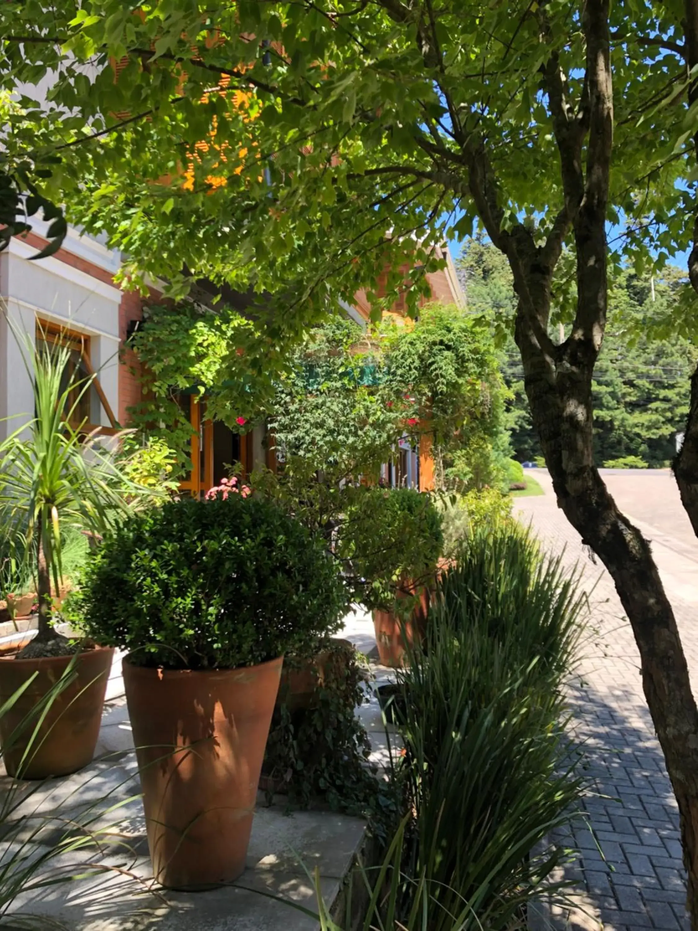 Property building in Hotel Boutique Britanico Property building in Hotel Boutique Britanico