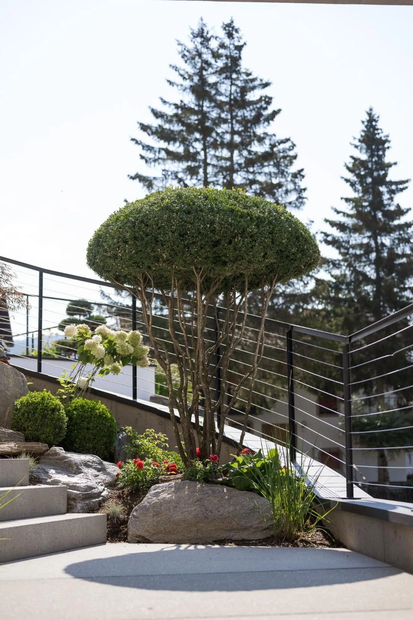 Garden in Hotel Salten