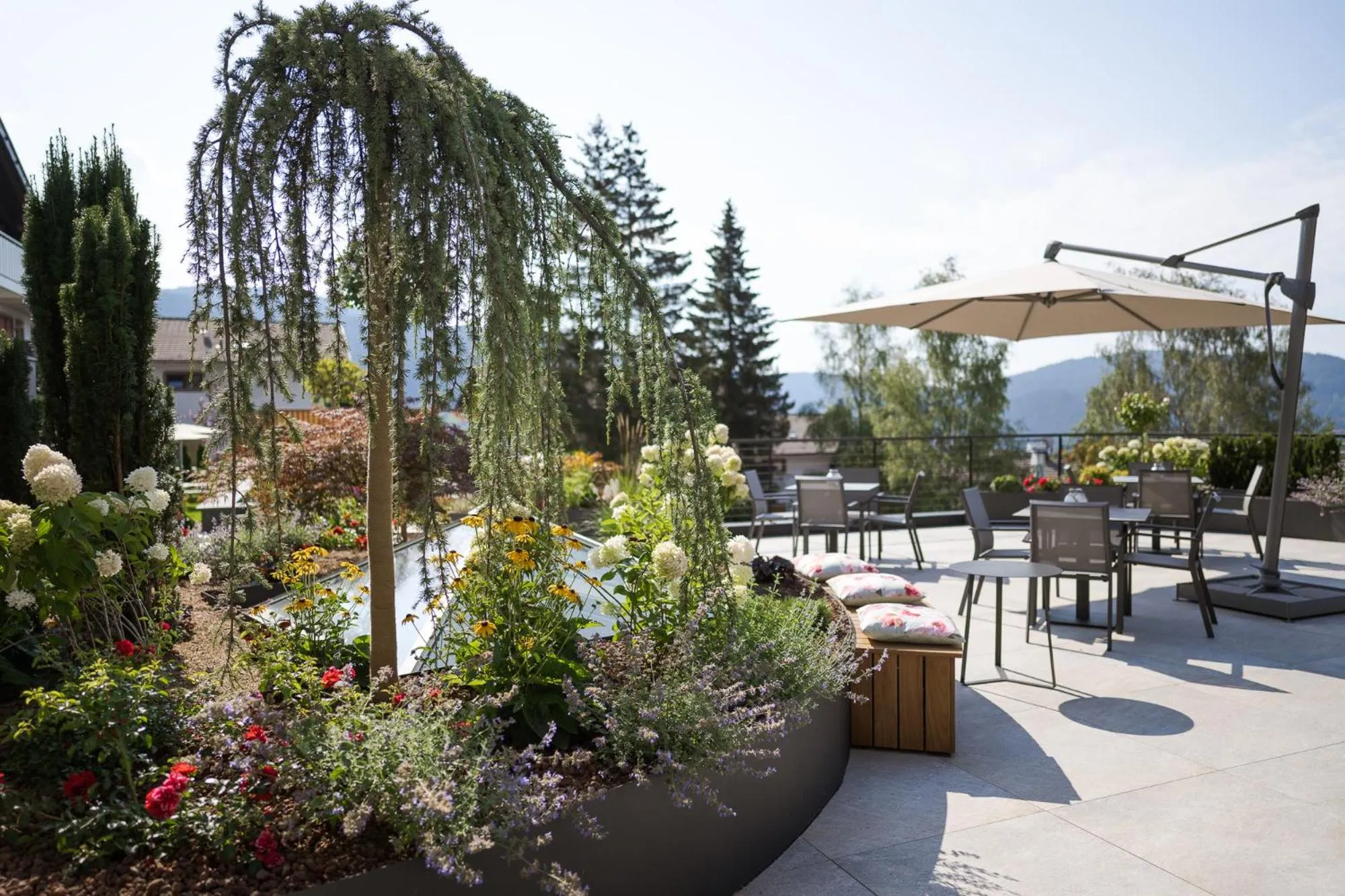 Restaurant/places to eat in Hotel Salten