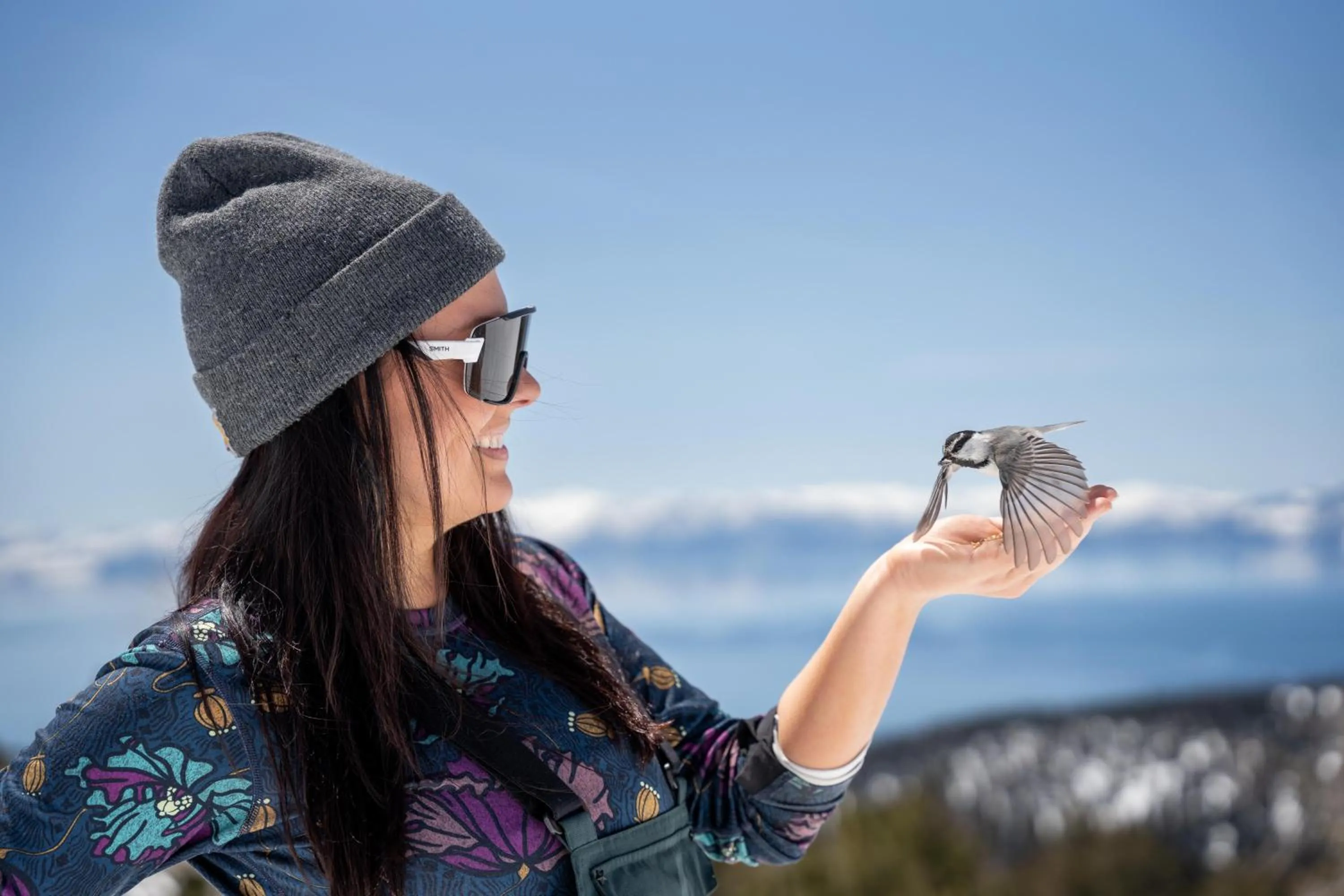 Natural landscape in The Incline Lodge